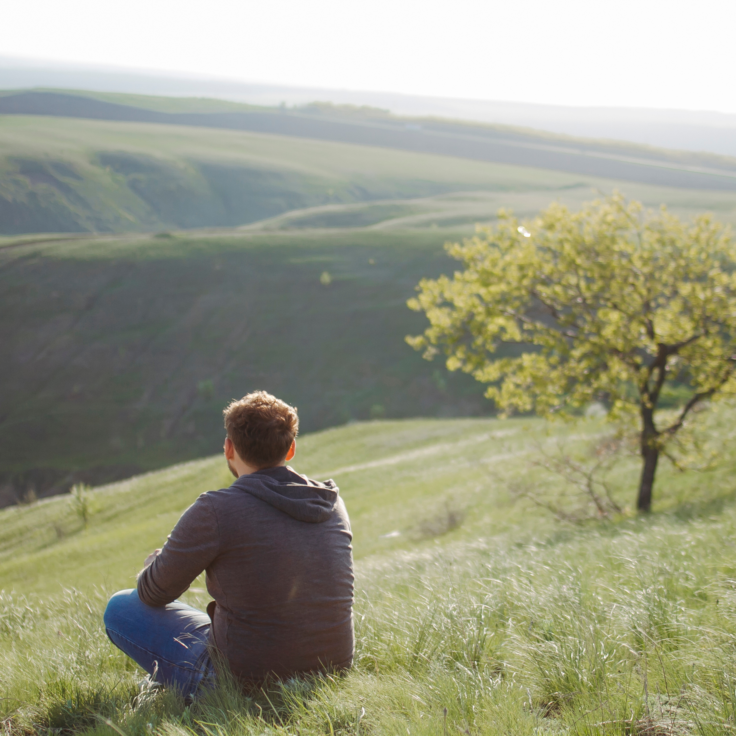 Гора Меровка (июль 2019)