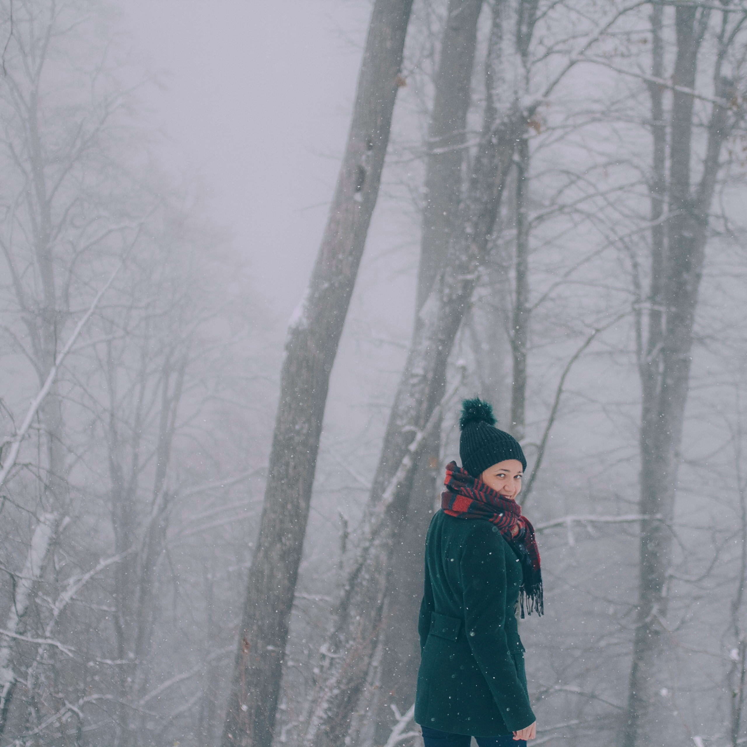 Сочи (декабрь 2017)