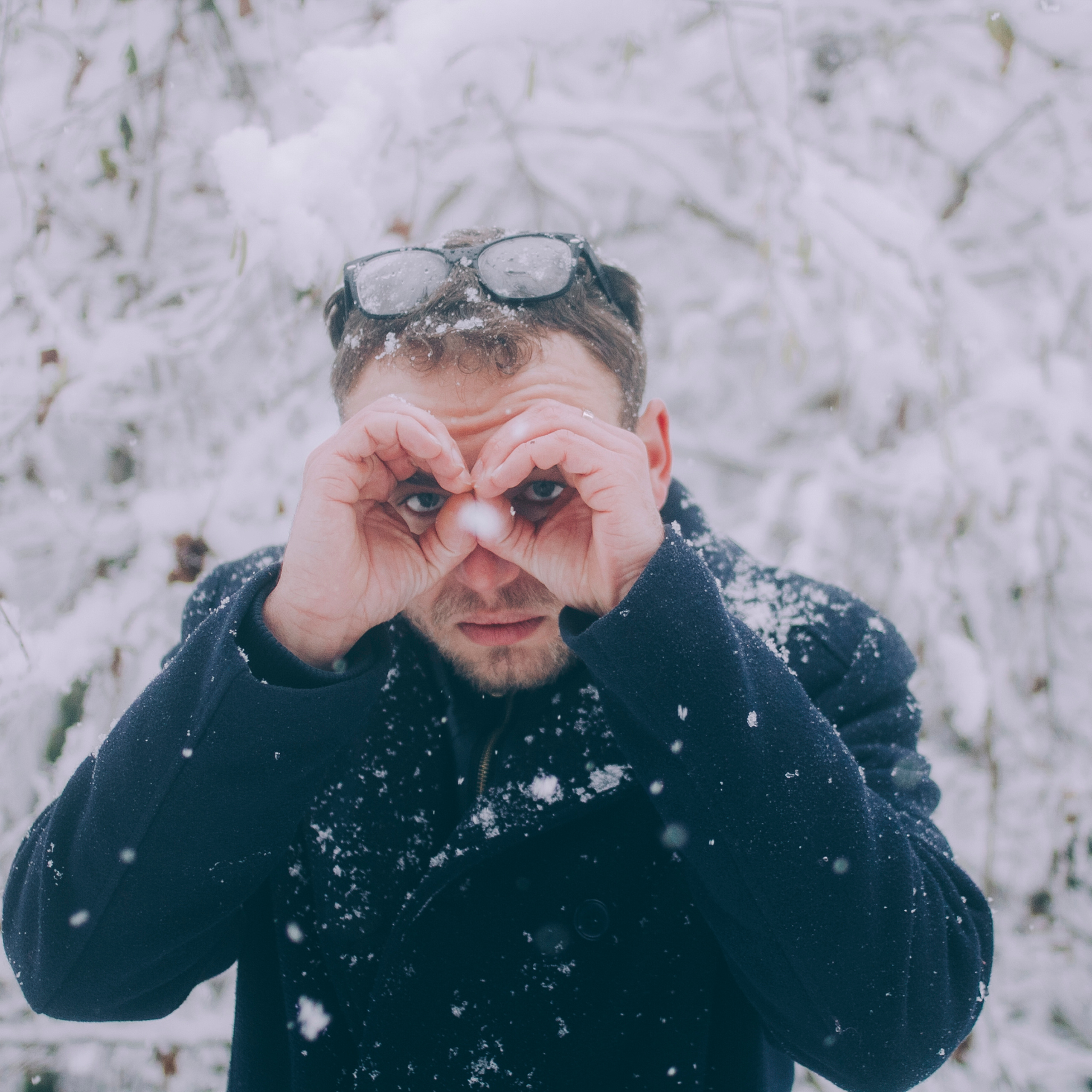 Сочи (декабрь 2017)