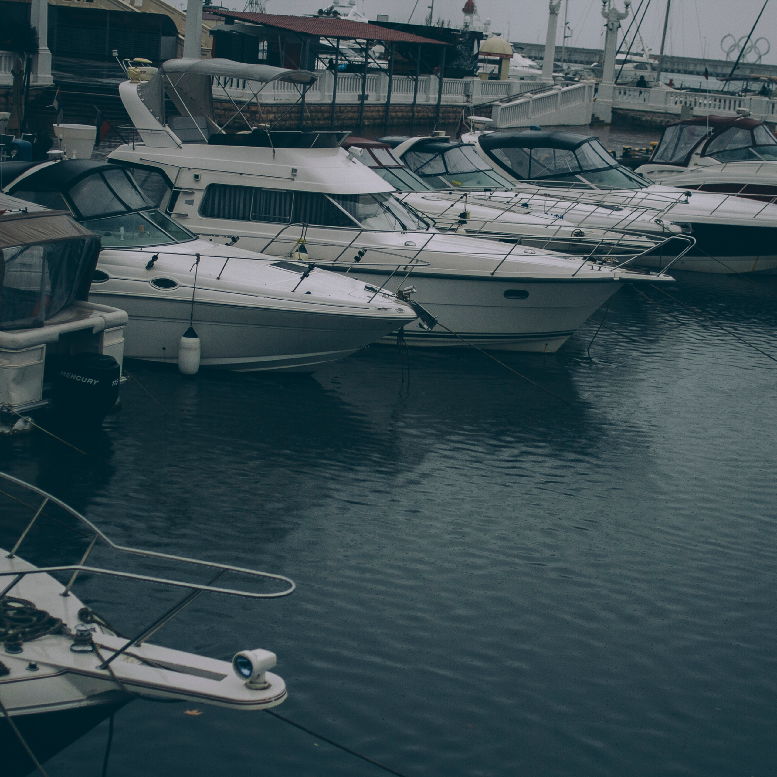 Сочи (декабрь 2017)