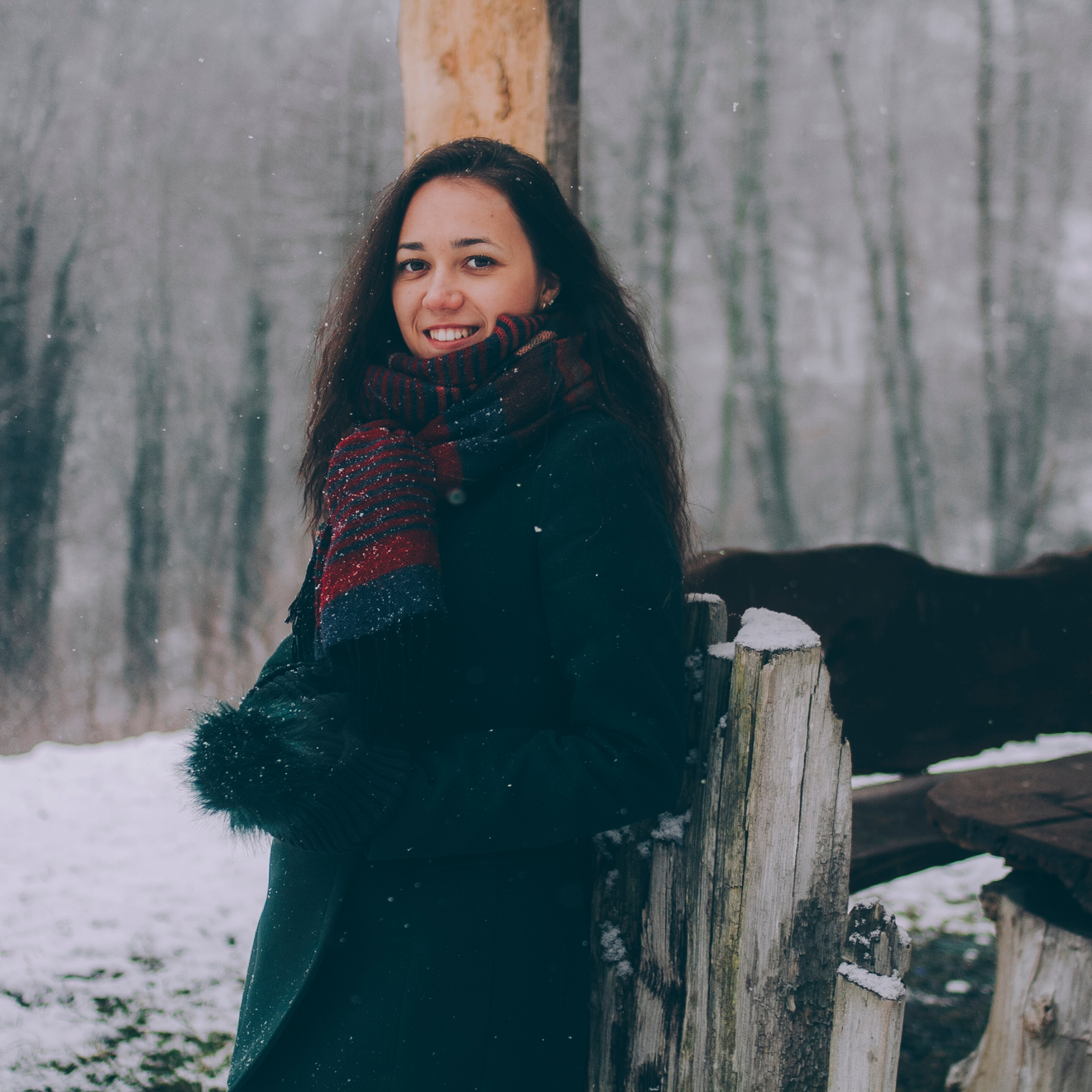 Сочи (декабрь 2017)