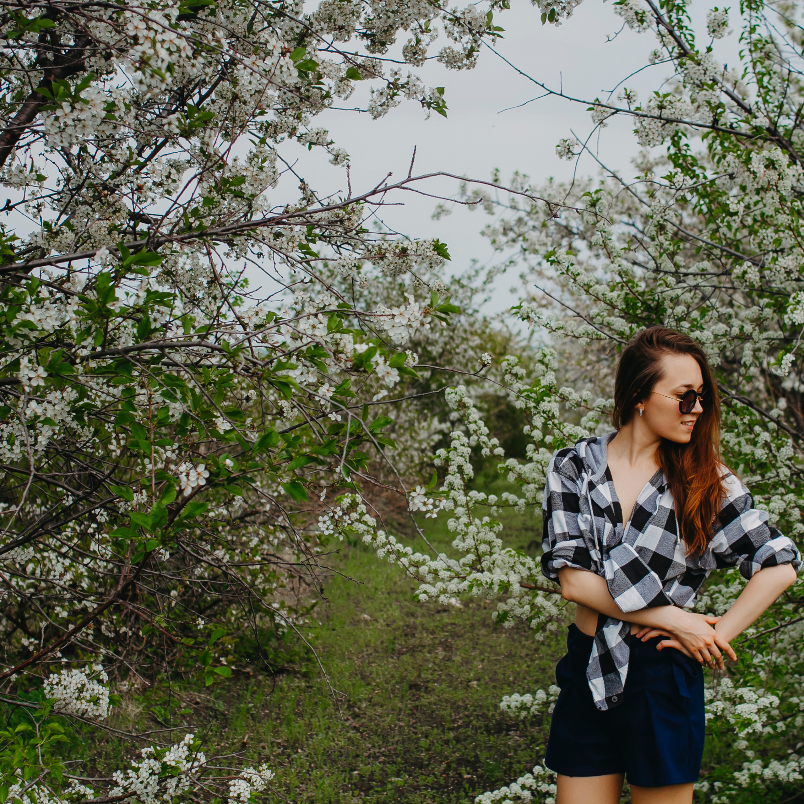 Хвалынские яблоневые сады (май 2019)