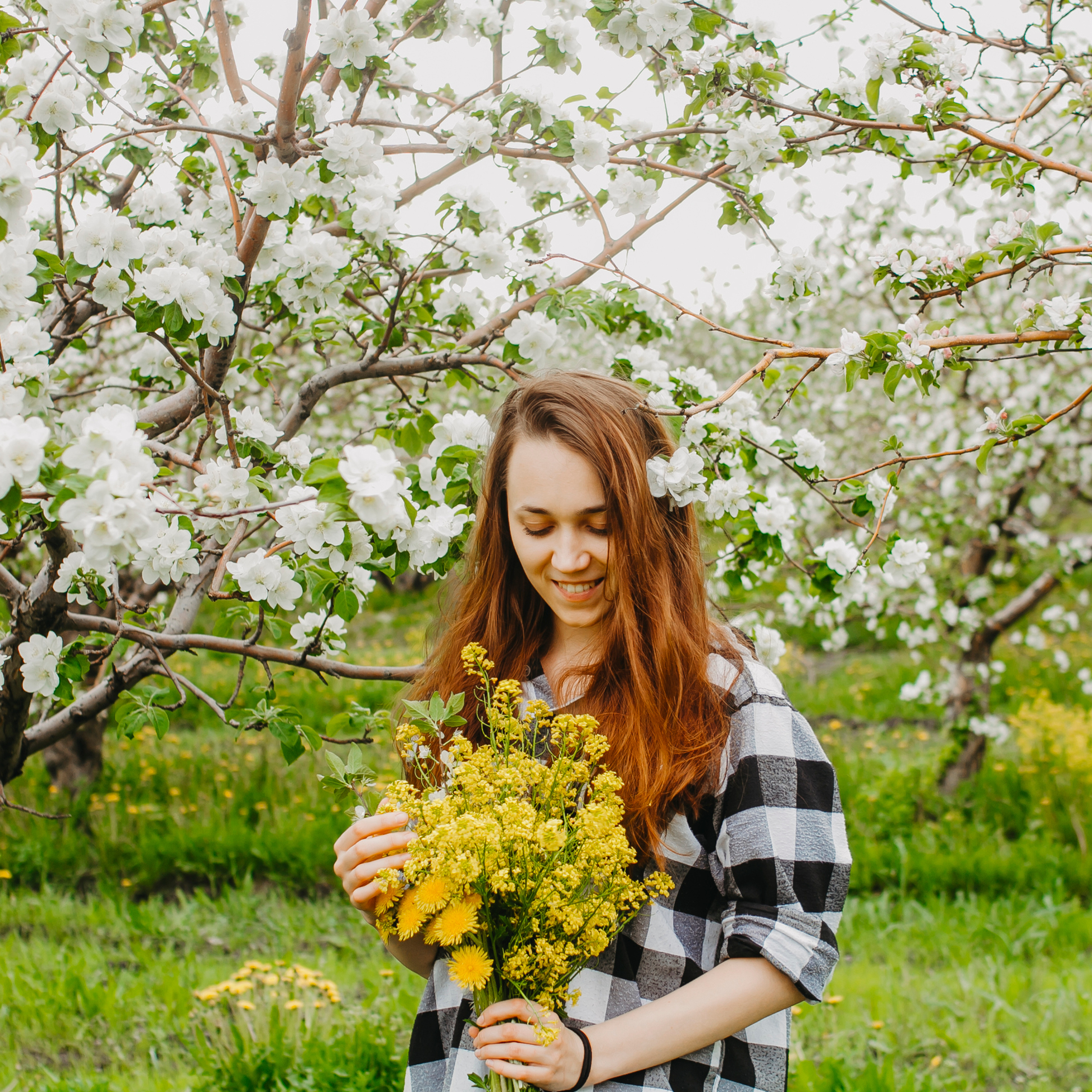 Хвалынские яблоневые сады (май 2019)