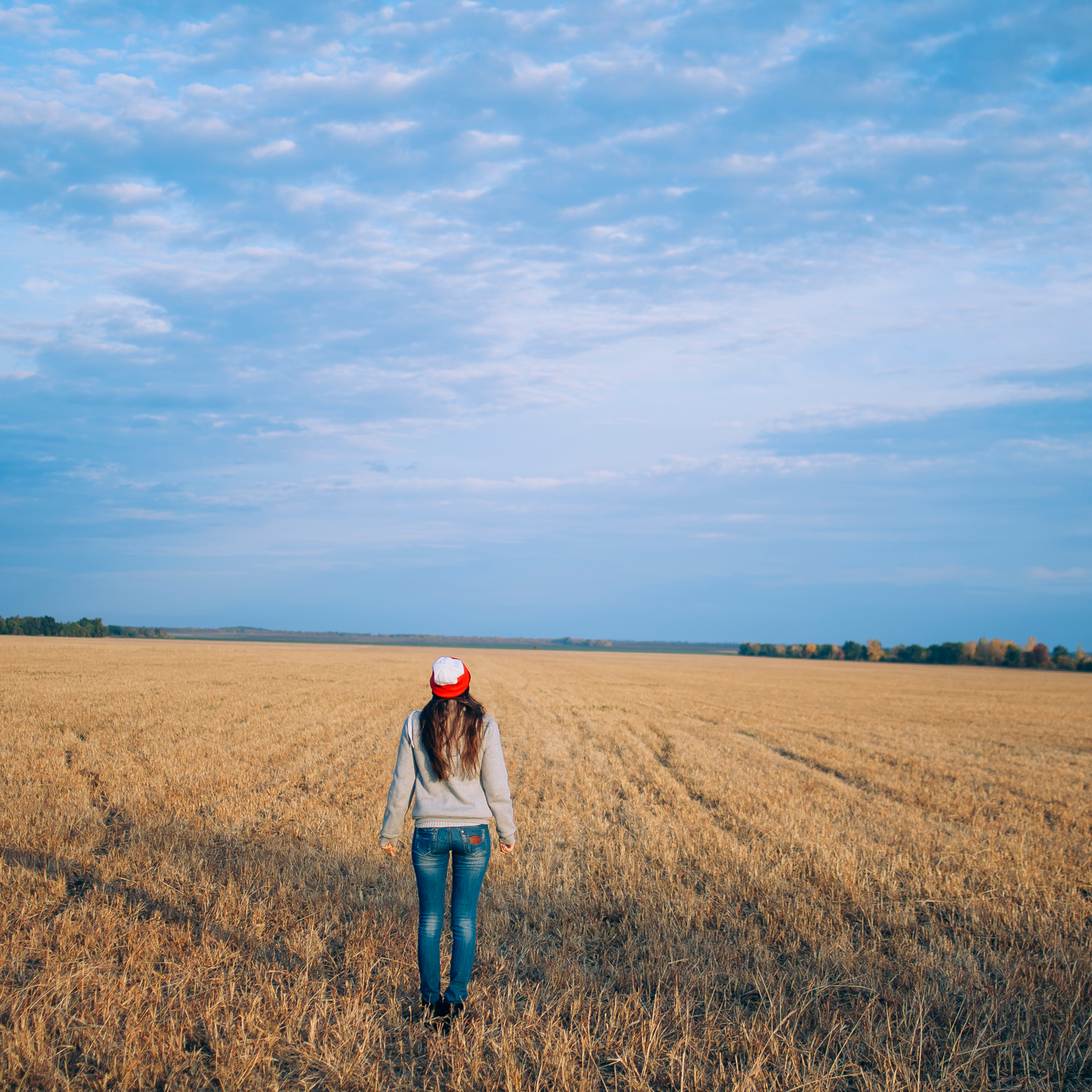 Поле у АЭС Балаково (октябрь 2018)