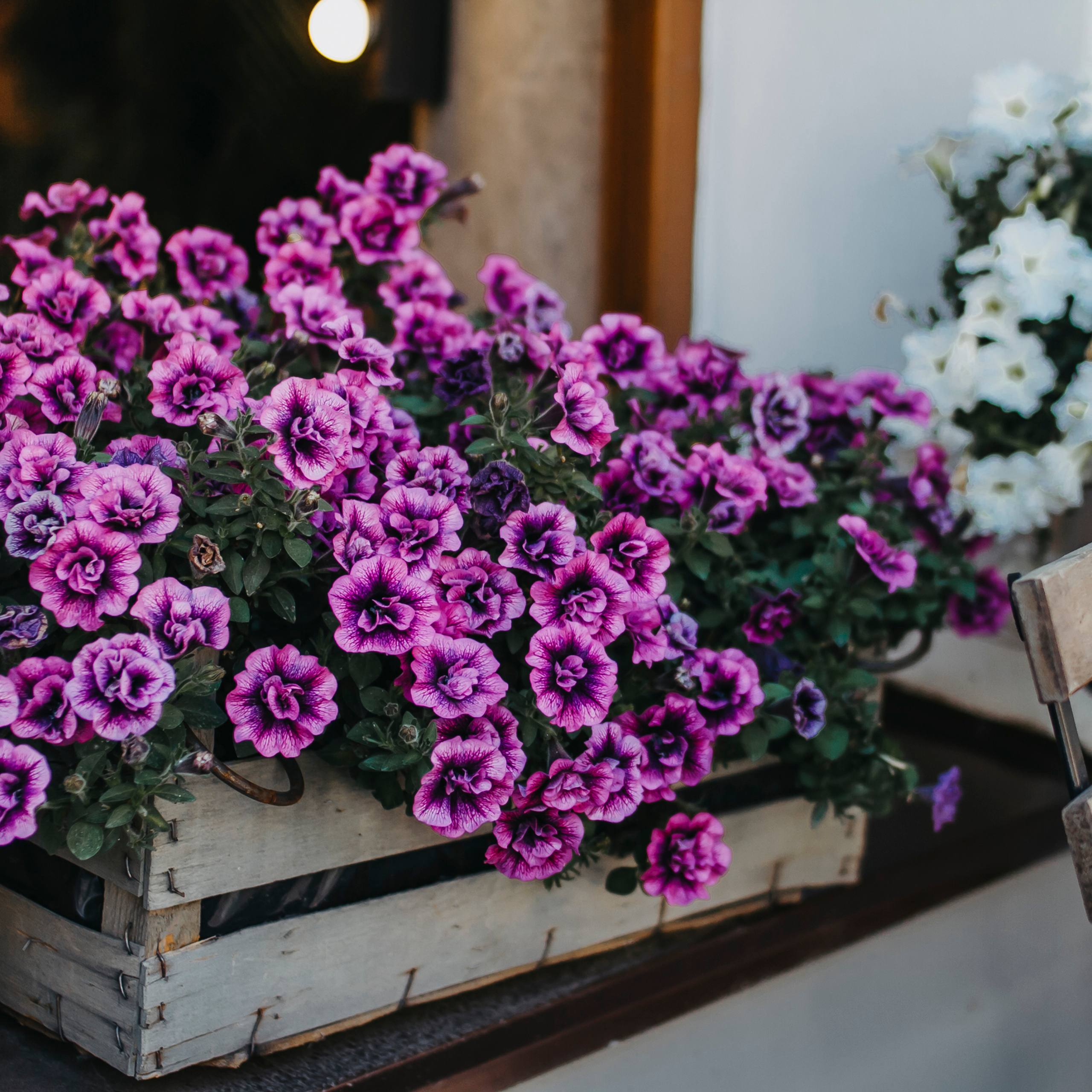 Казань (июль 2019)