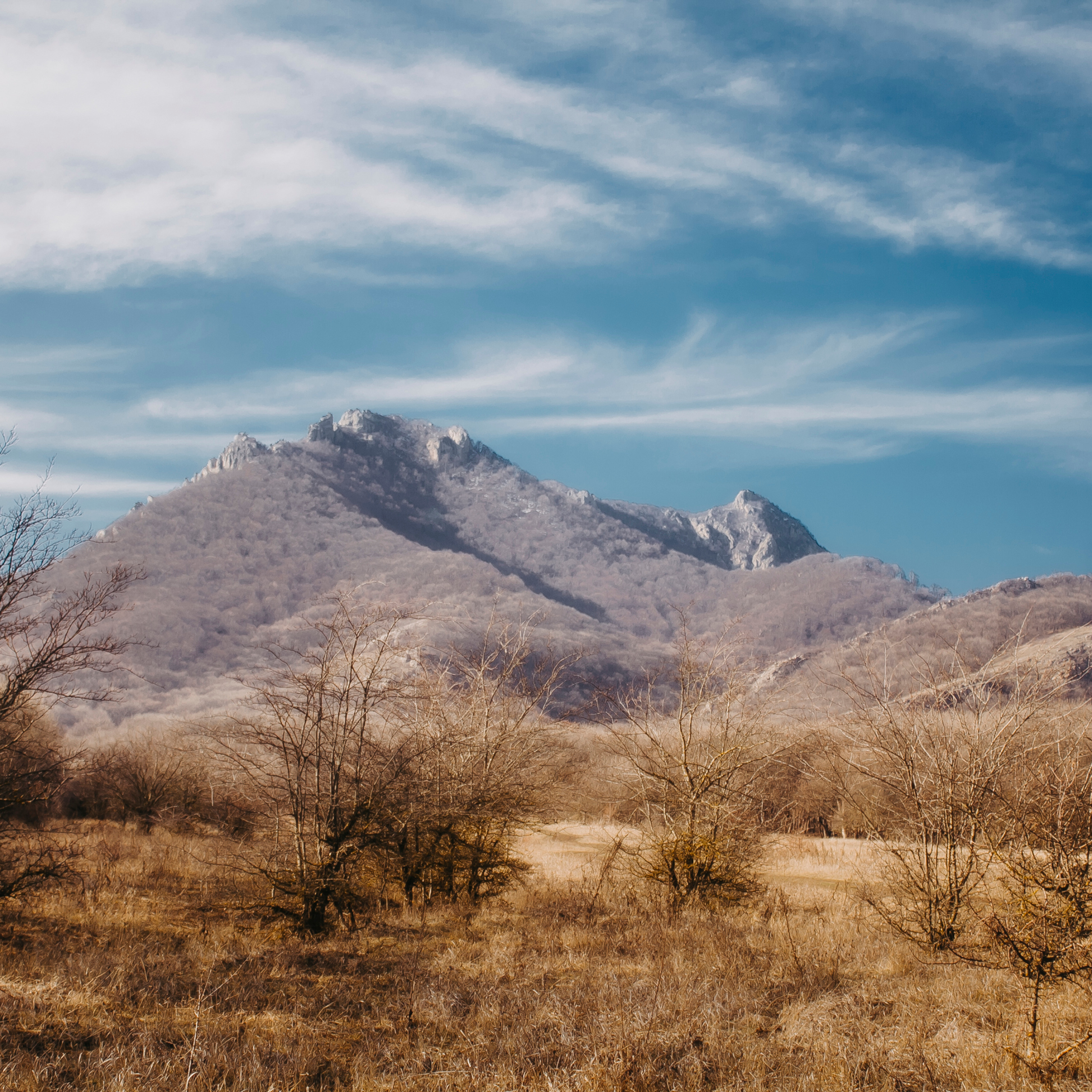 Мин воды (Новый год 2020)