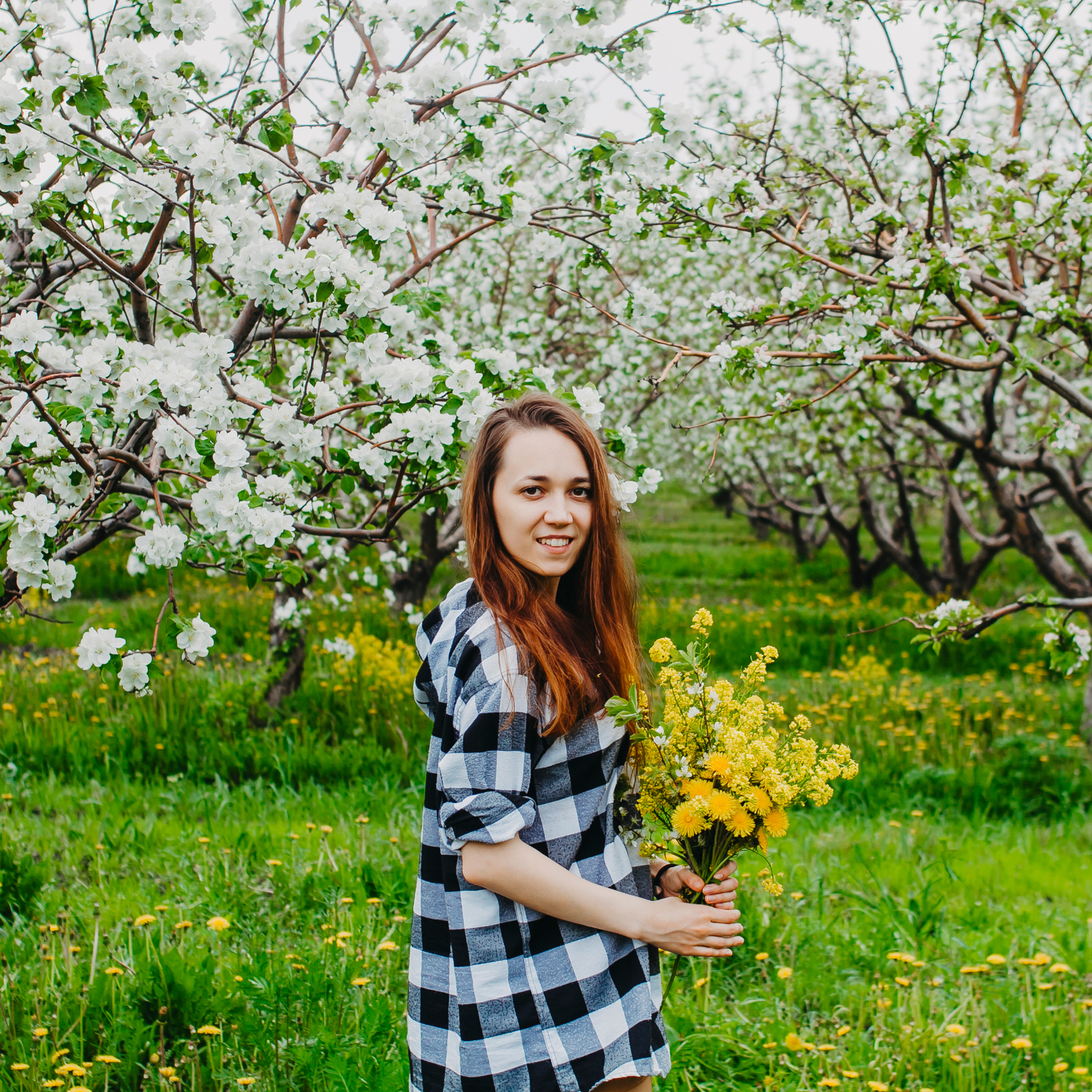Хвалынские яблоневые сады (май 2019)