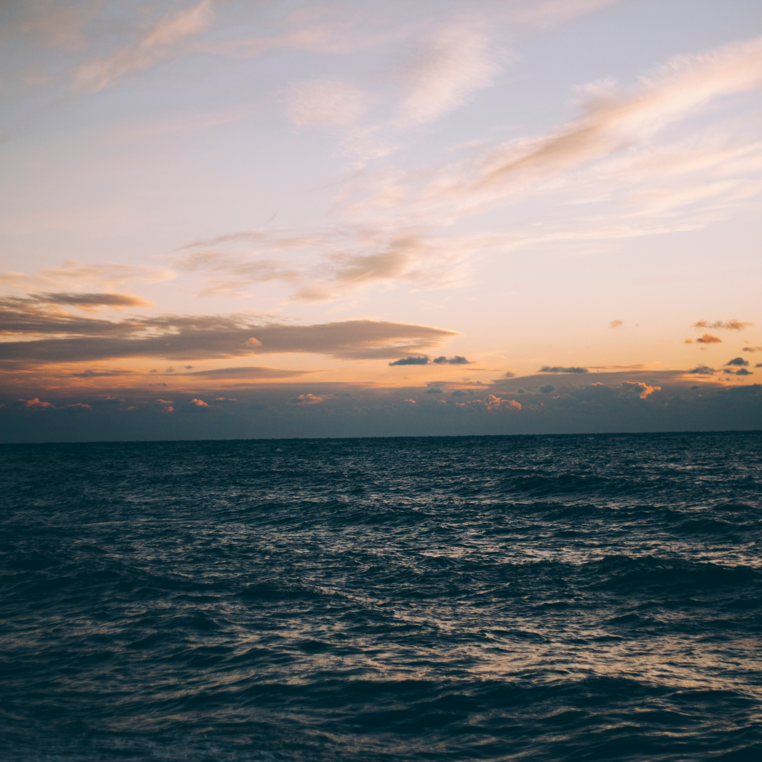 Сочи (декабрь 2017)