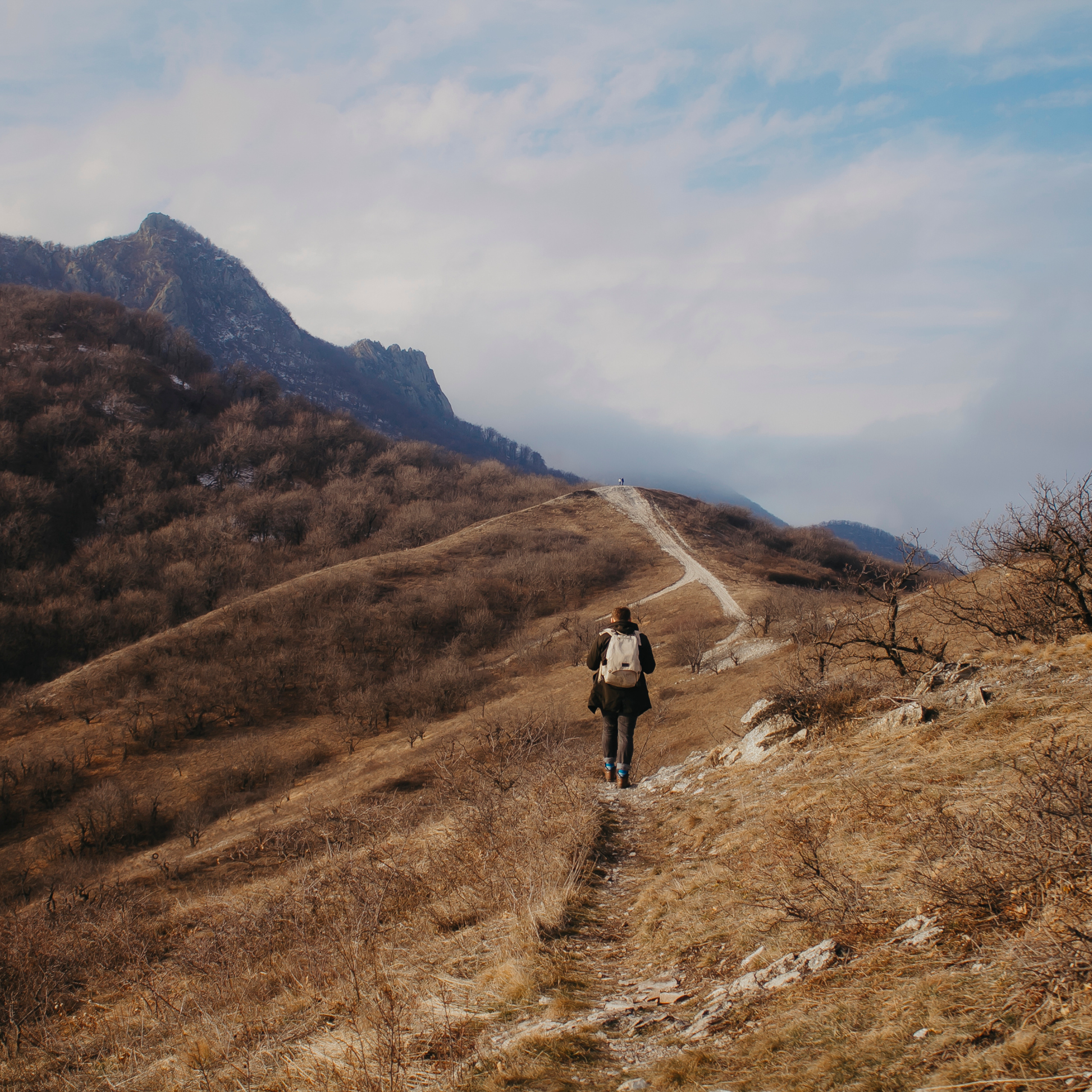 Мин воды (Новый год 2020)