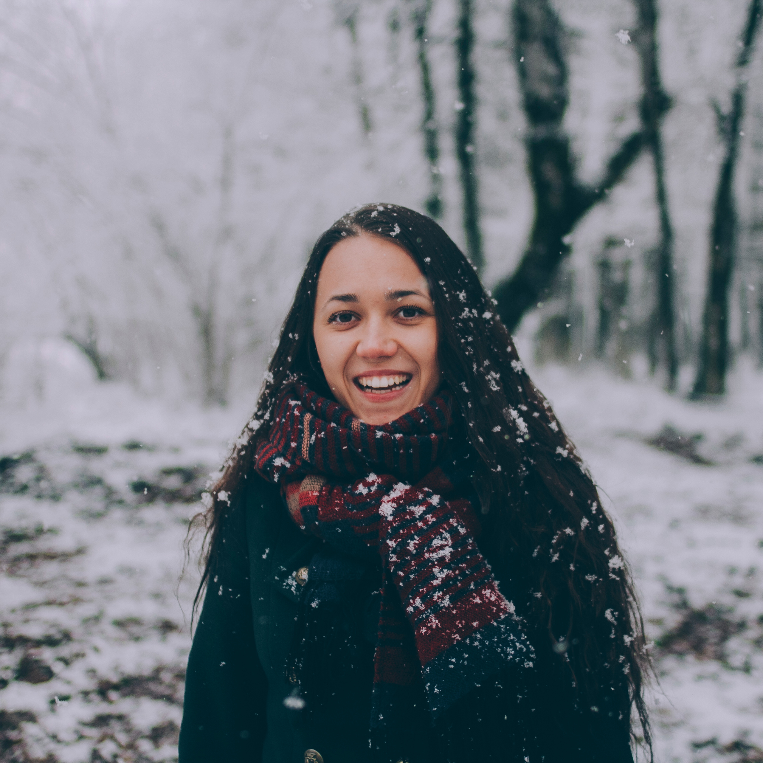 Сочи (декабрь 2017)