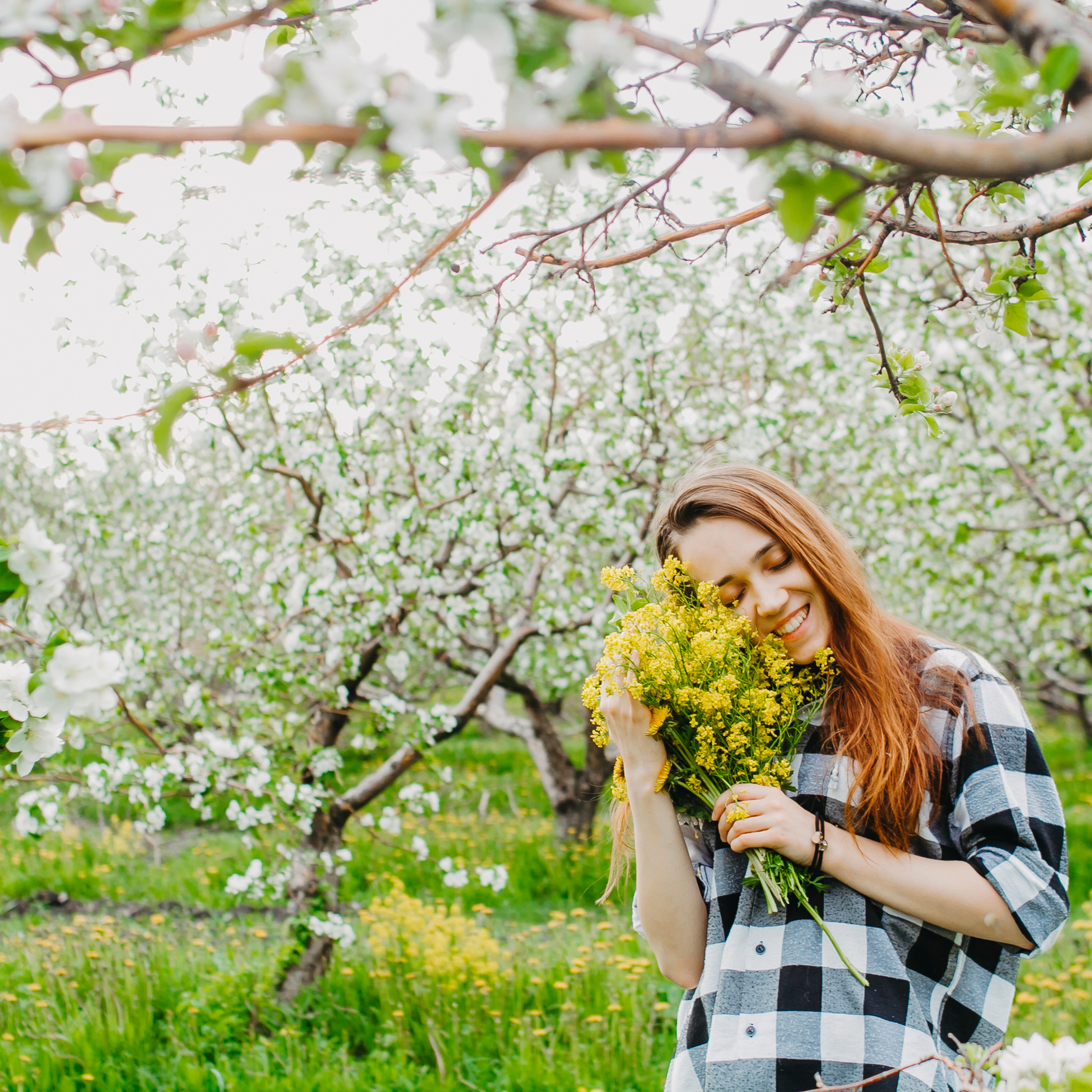 Хвалынские яблоневые сады (май 2019)