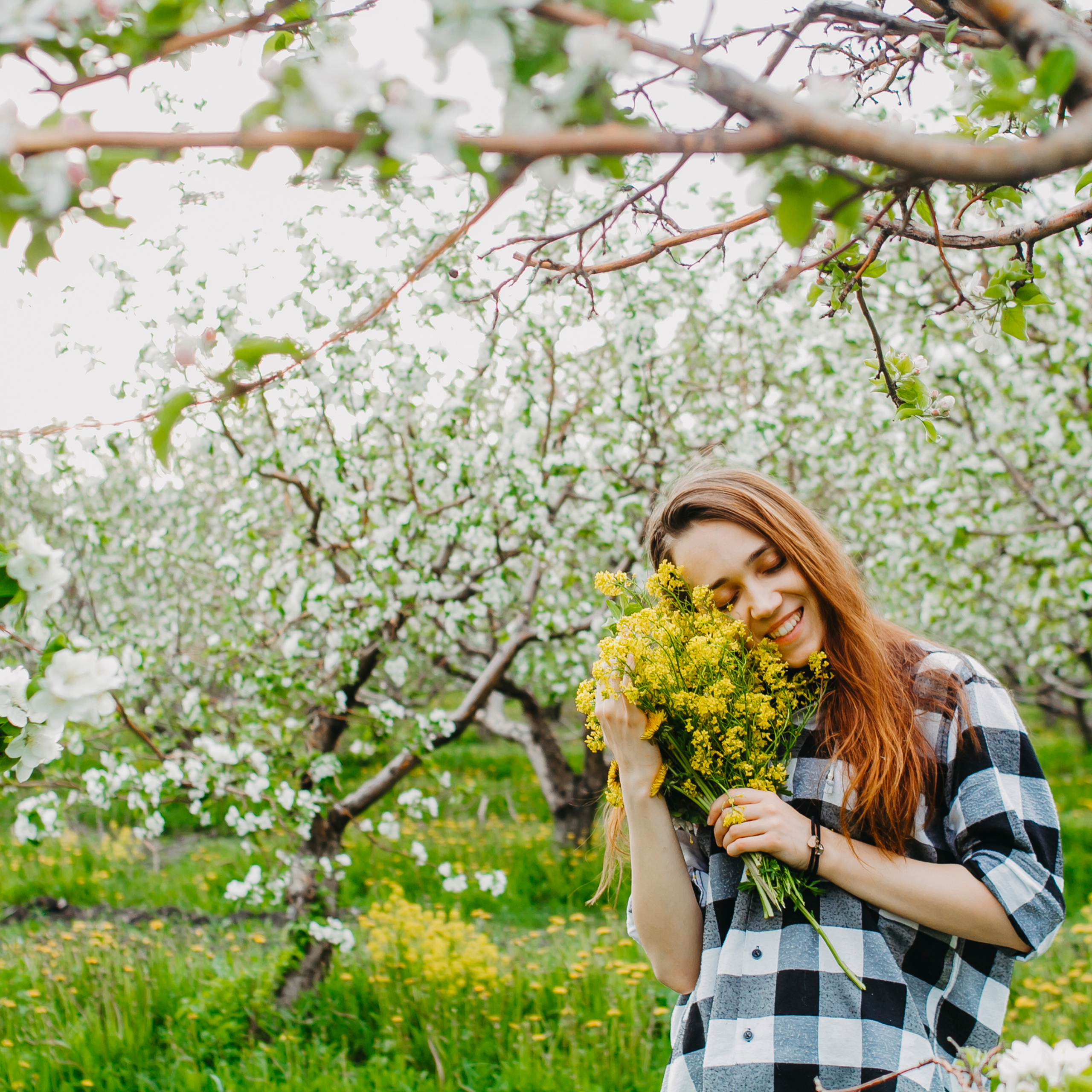 Хвалынские яблоневые сады (май 2019)