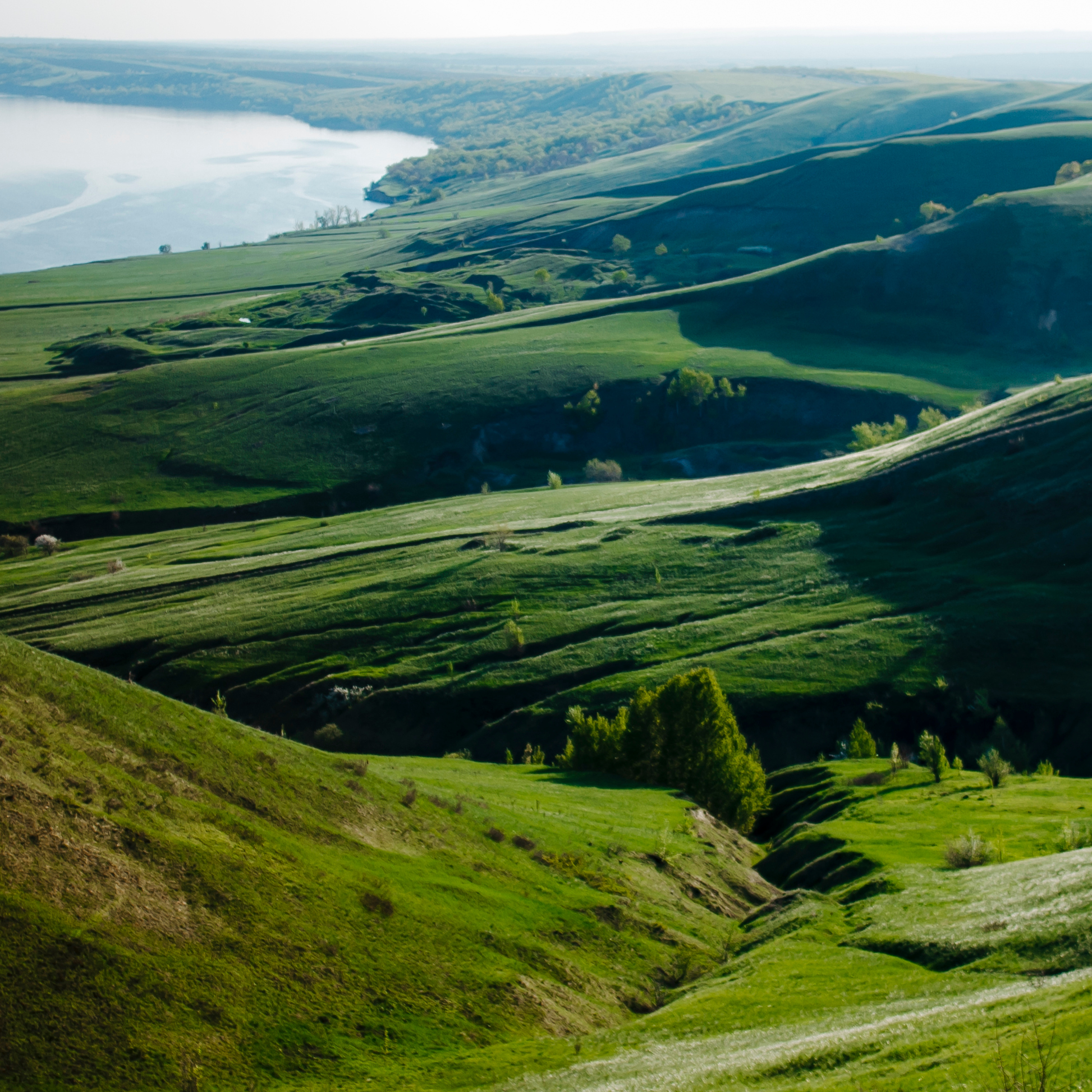 Гора Меровка (июль 2019)