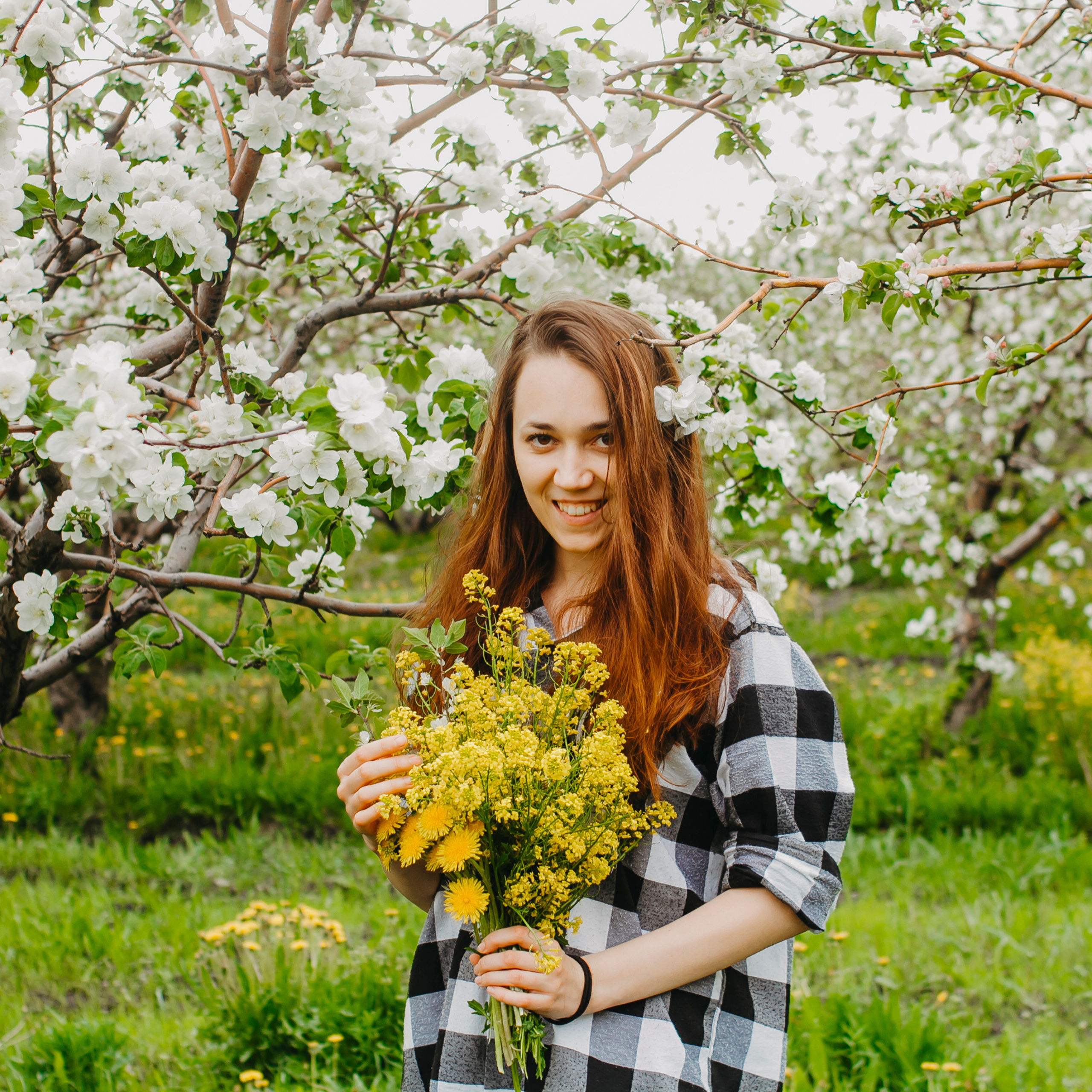 Хвалынские яблоневые сады (май 2019)
