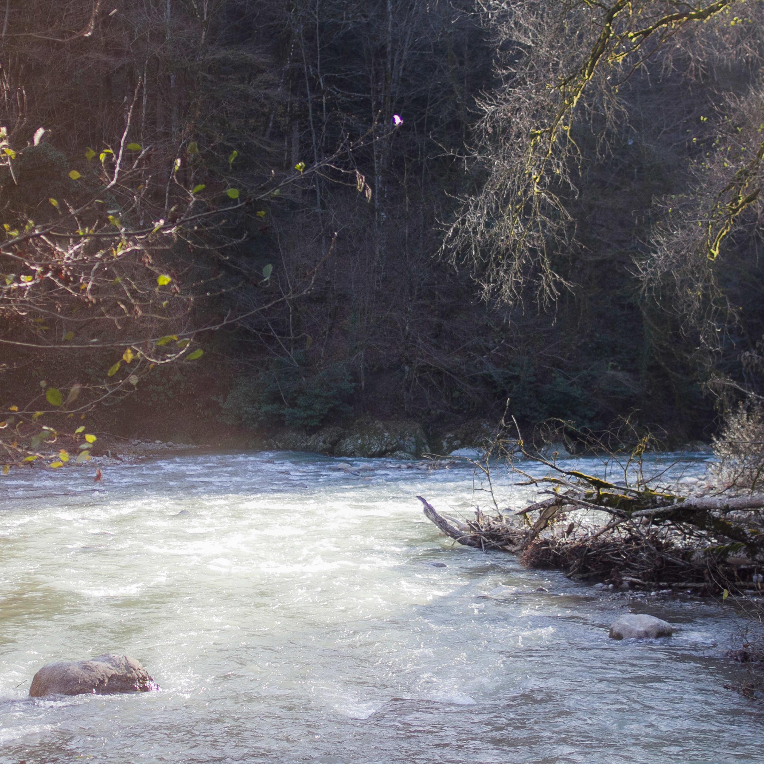 Сочи (декабрь 2017)