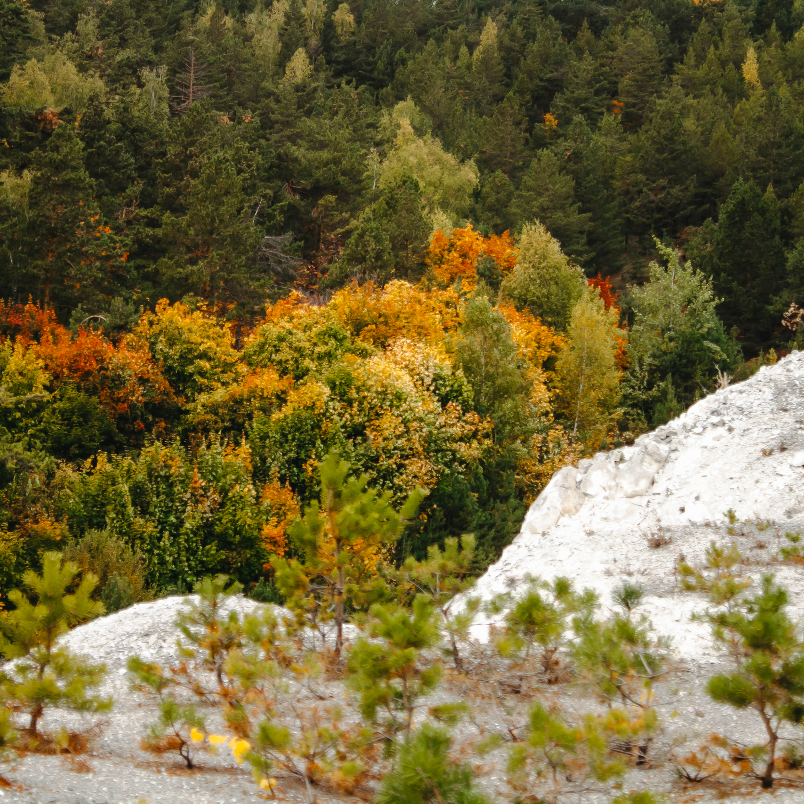 Хвалынский меловой карьер (сентябрь 2019)