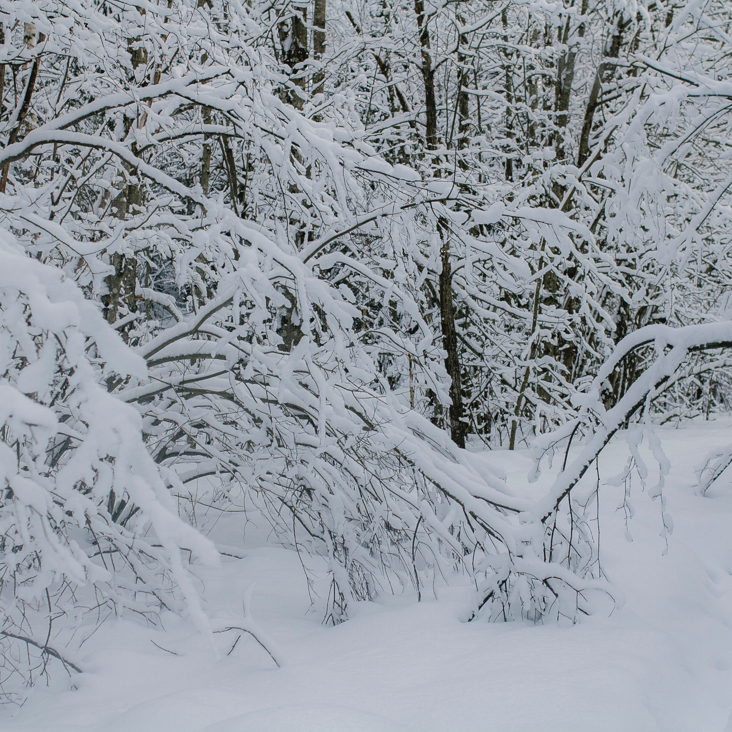 Рускеала Карелия (февраль 2018)