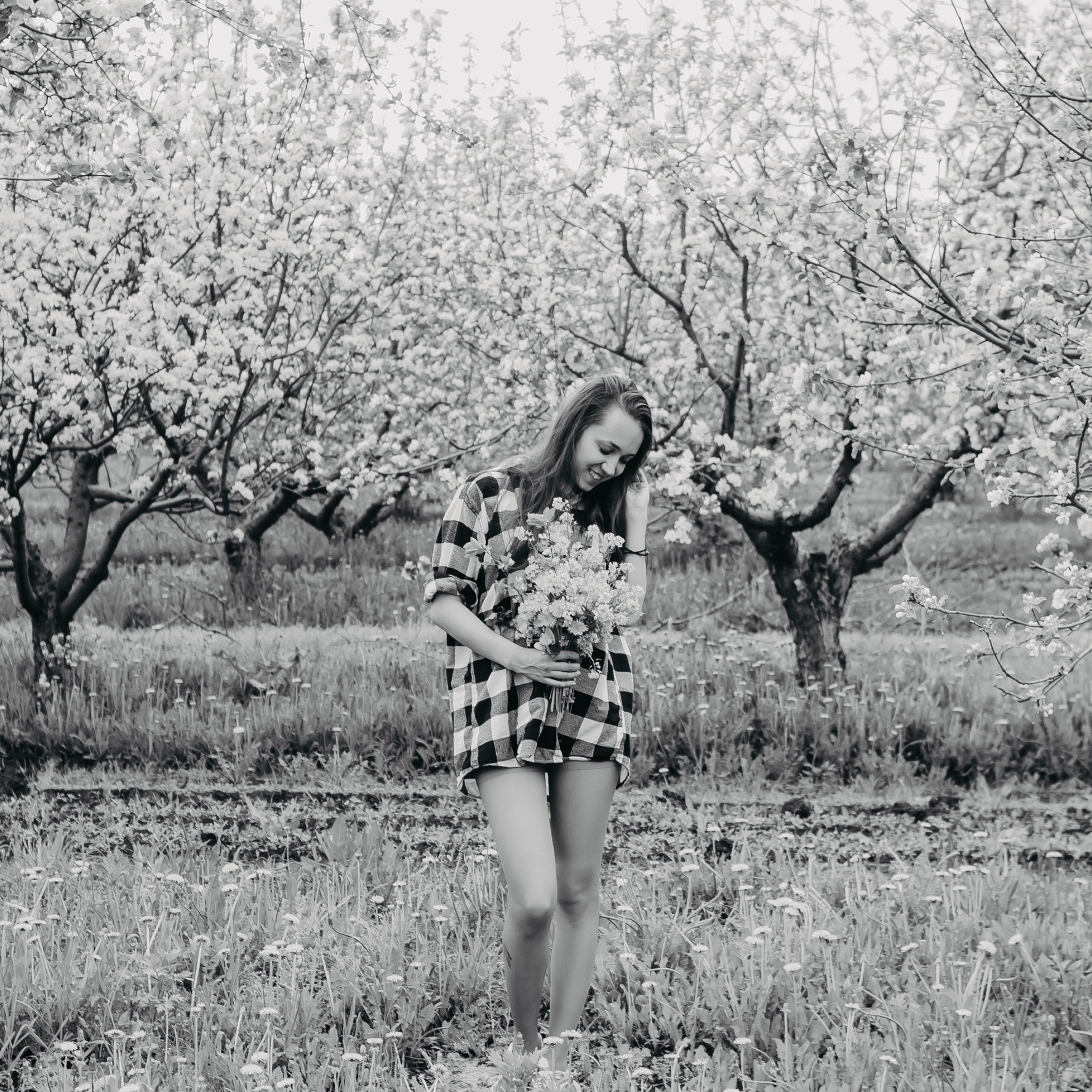 Хвалынские яблоневые сады (май 2019)