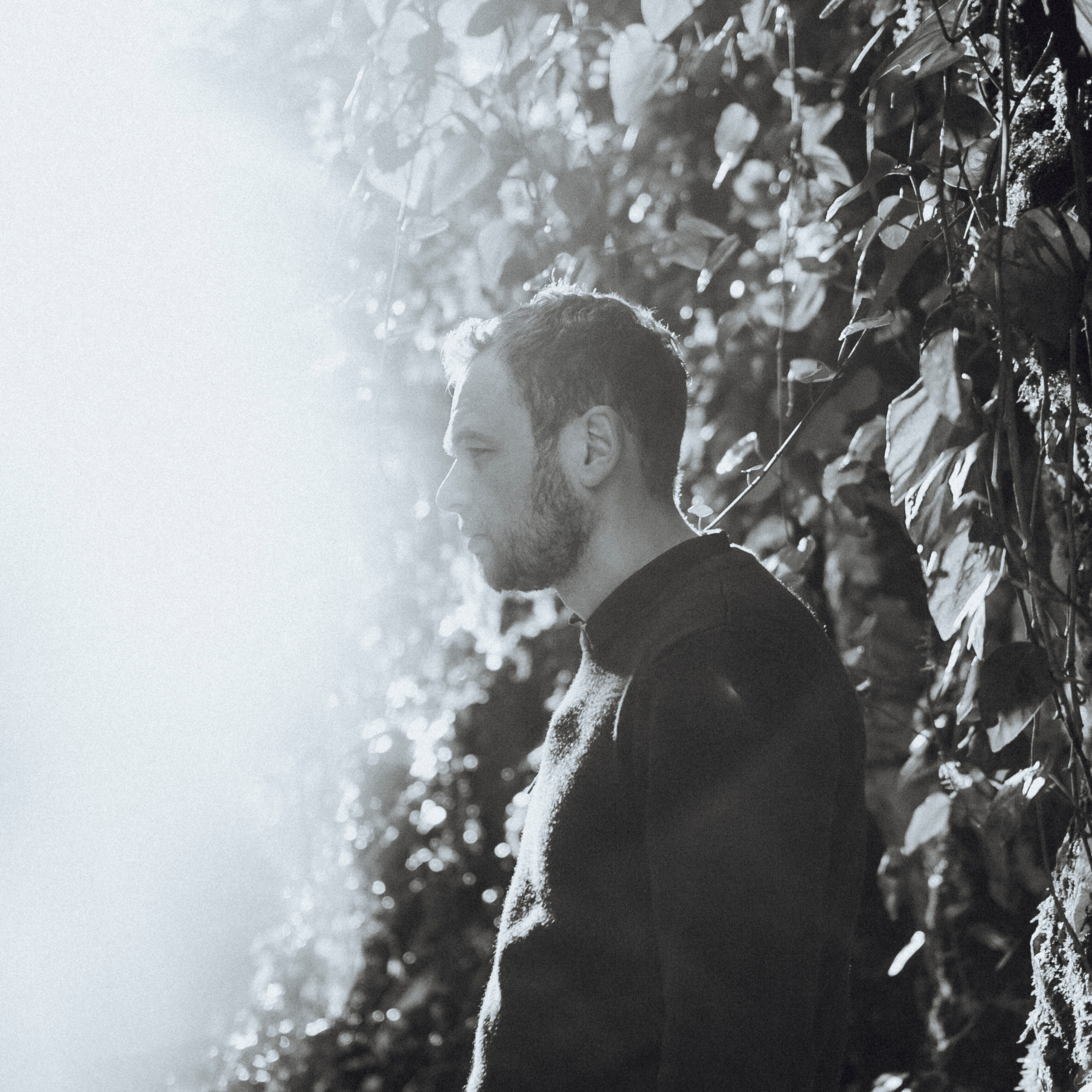 Сочи (декабрь 2017)