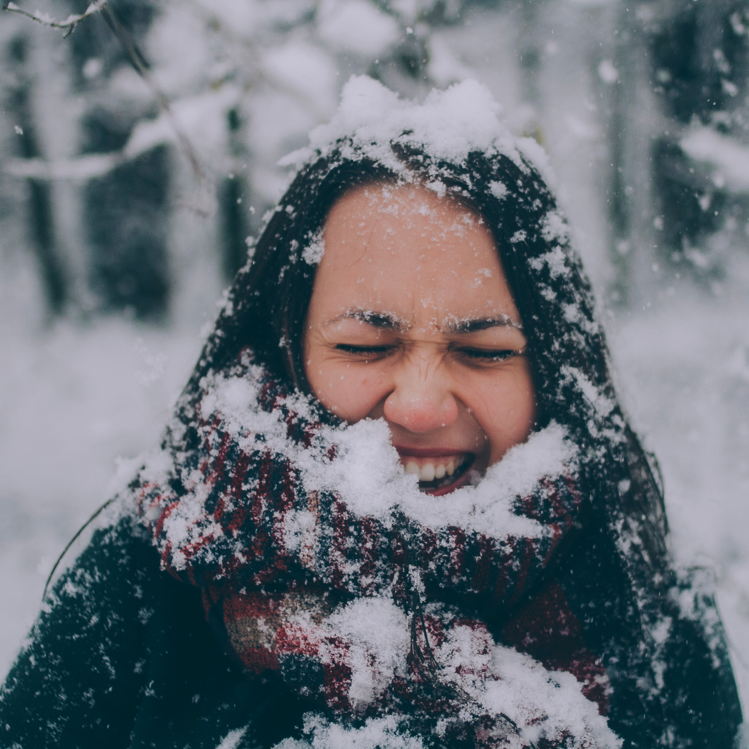 Сочи (декабрь 2017)