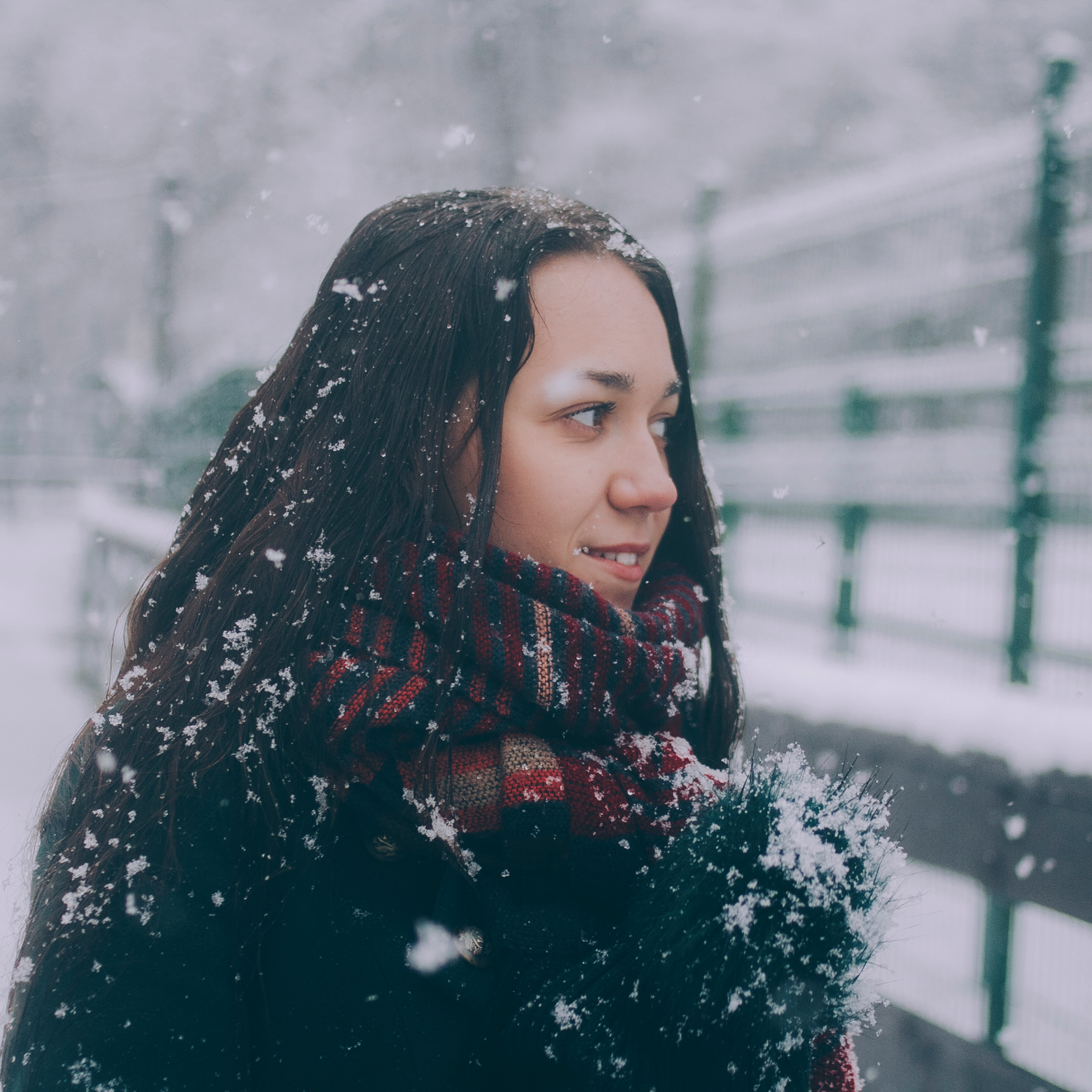 Сочи (декабрь 2017)