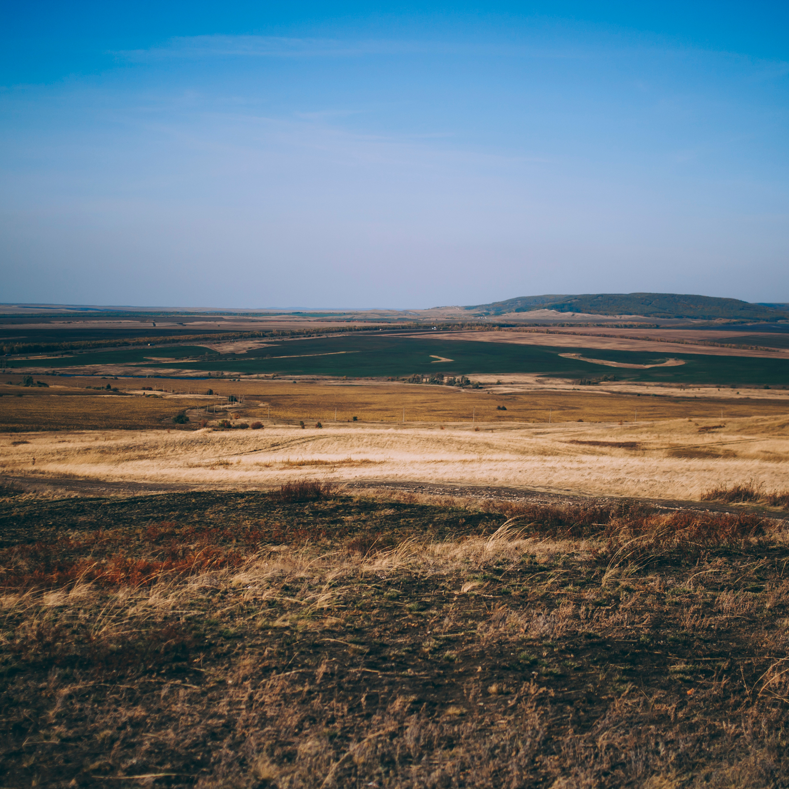 Поле у АЭС Балаково (октябрь 2018)