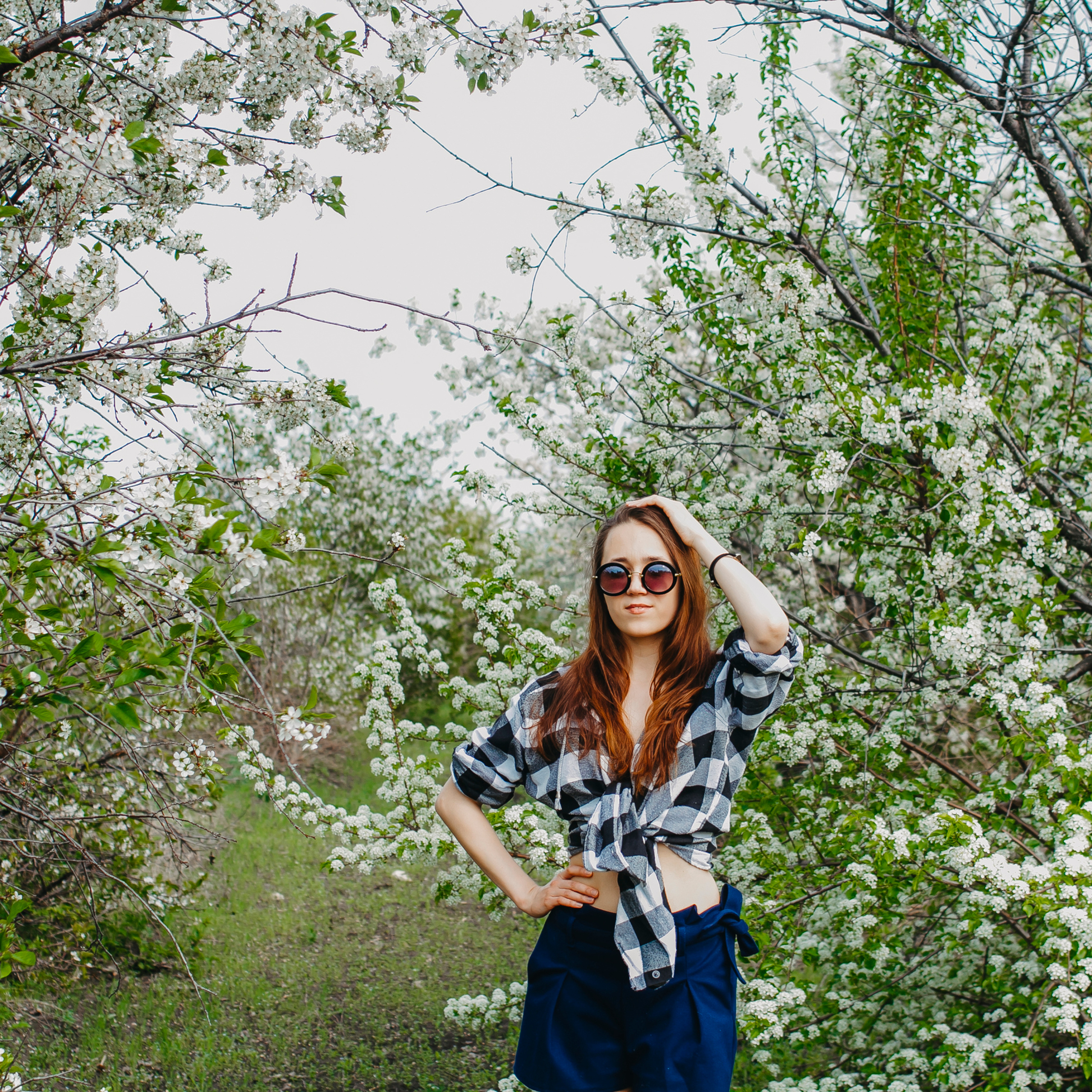 Хвалынские яблоневые сады (май 2019)