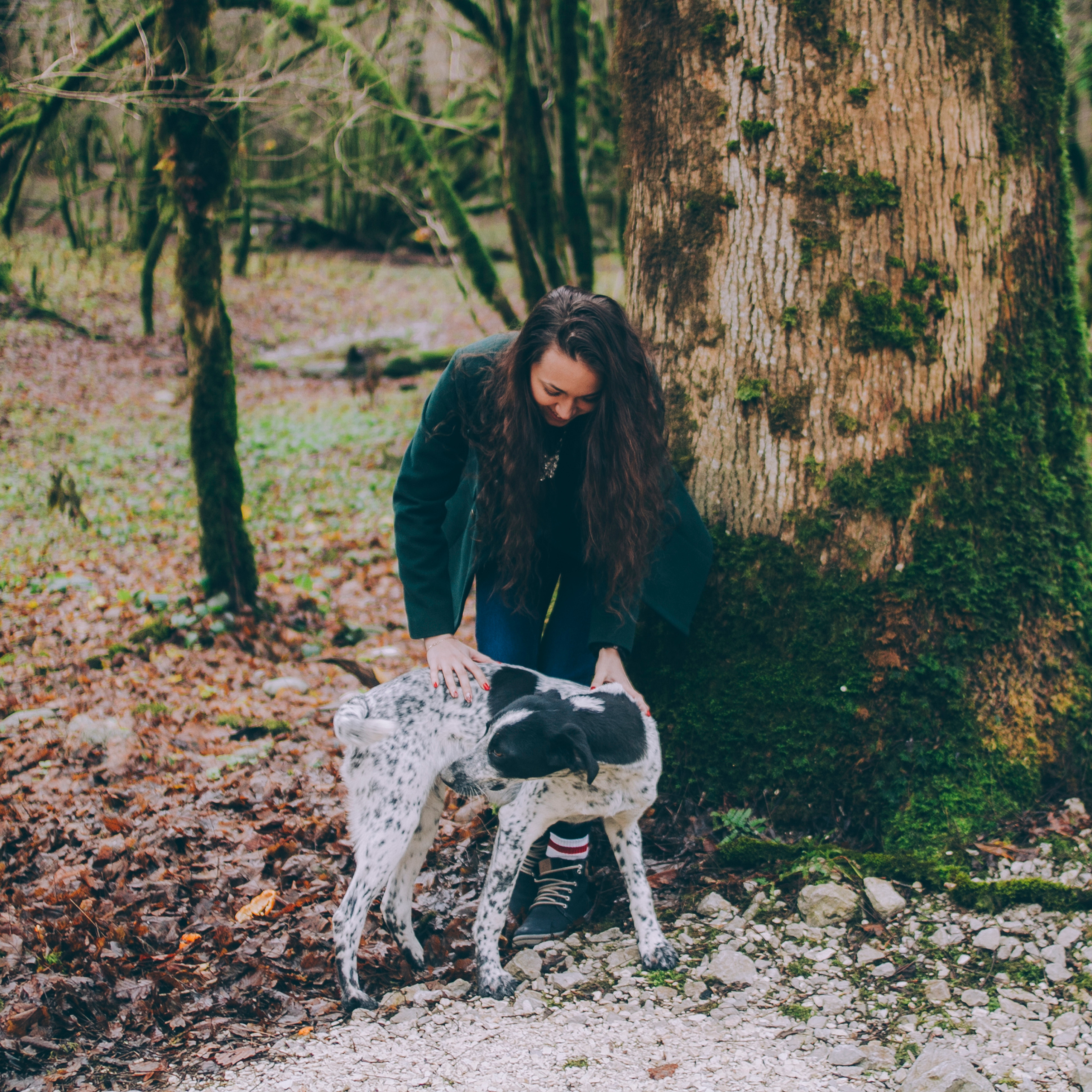 Сочи (декабрь 2017)