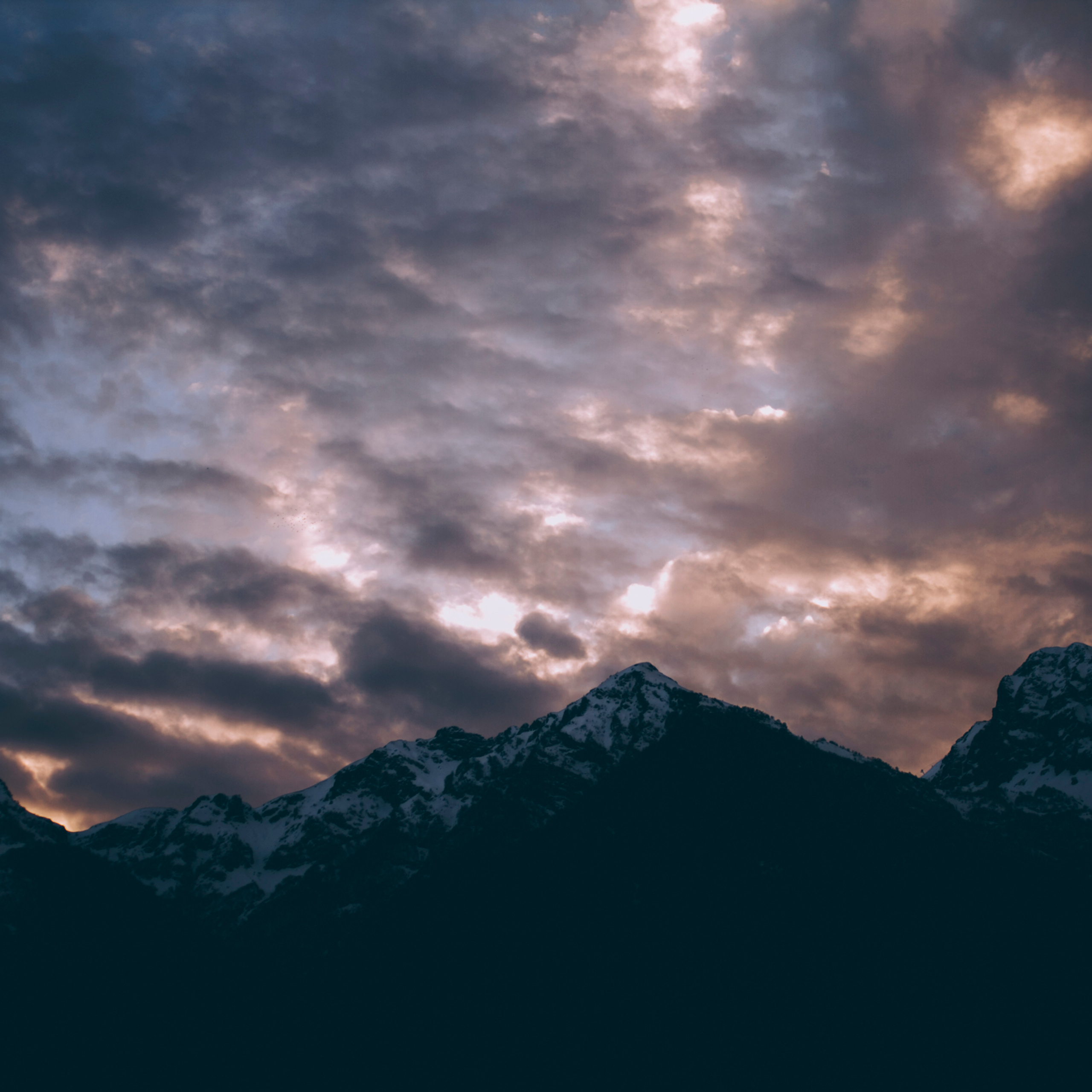 Сочи (декабрь 2017)