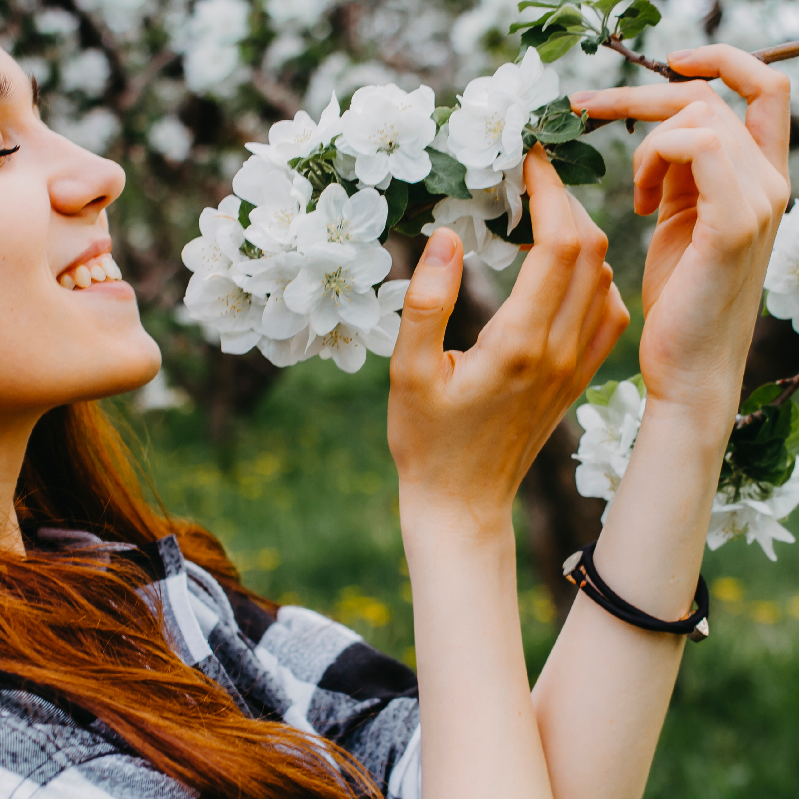 Хвалынские яблоневые сады (май 2019)