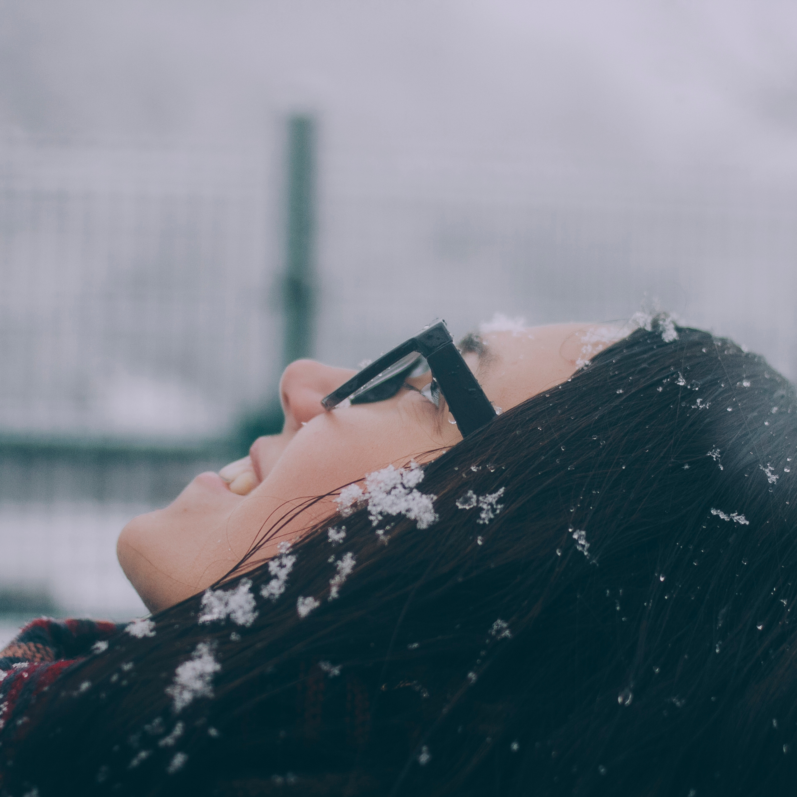 Сочи (декабрь 2017)