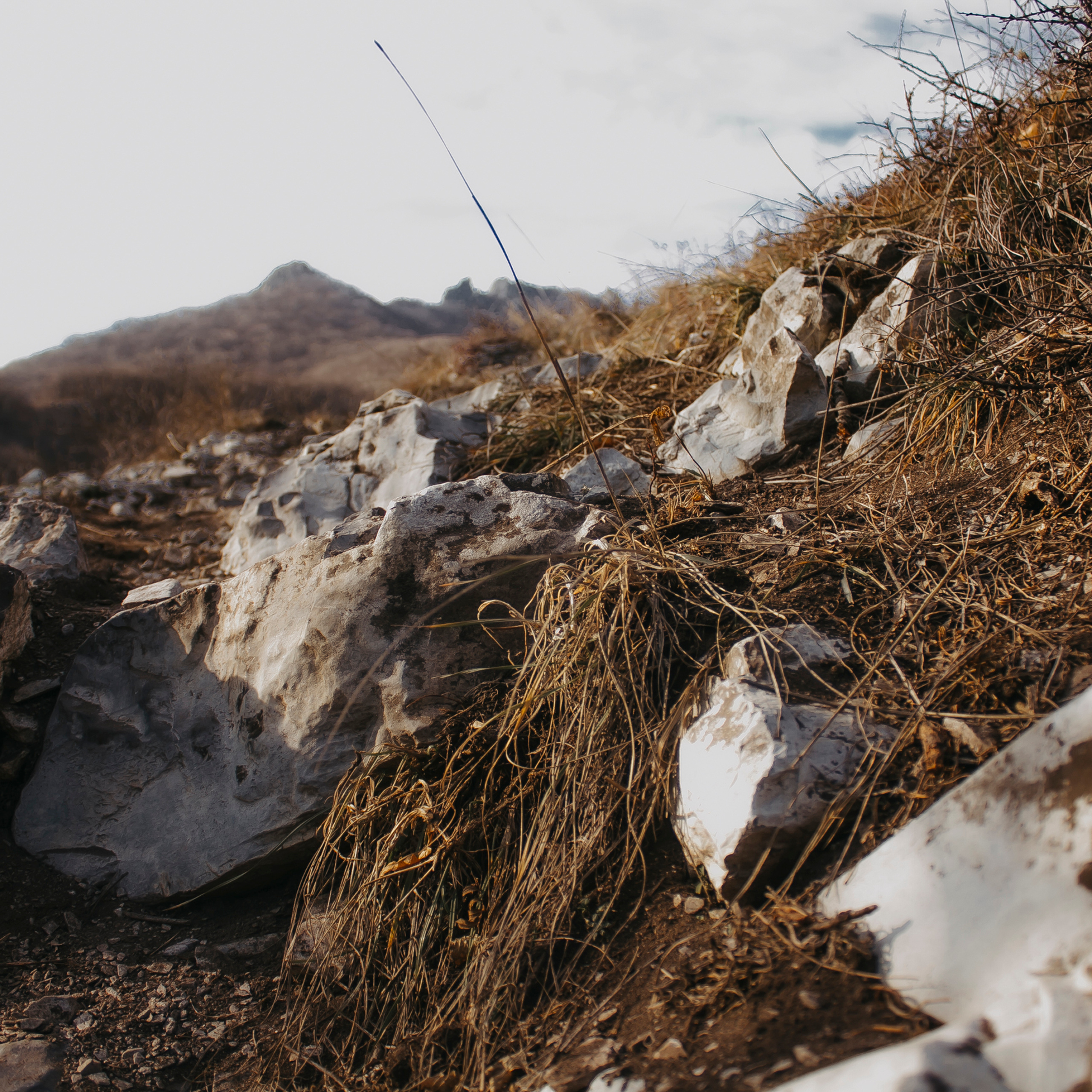 Мин воды (Новый год 2020)