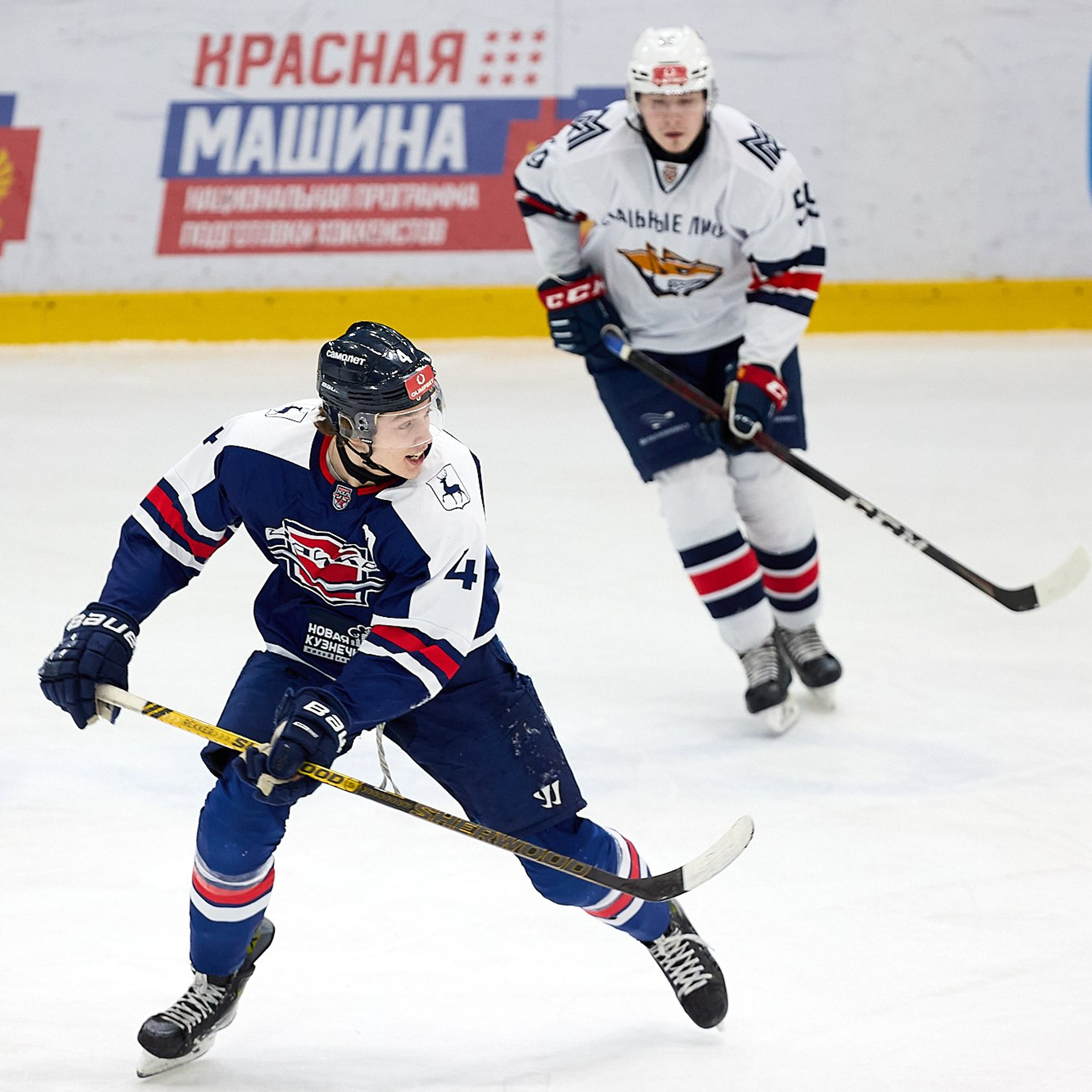 МХЛ Чайка — Лисы