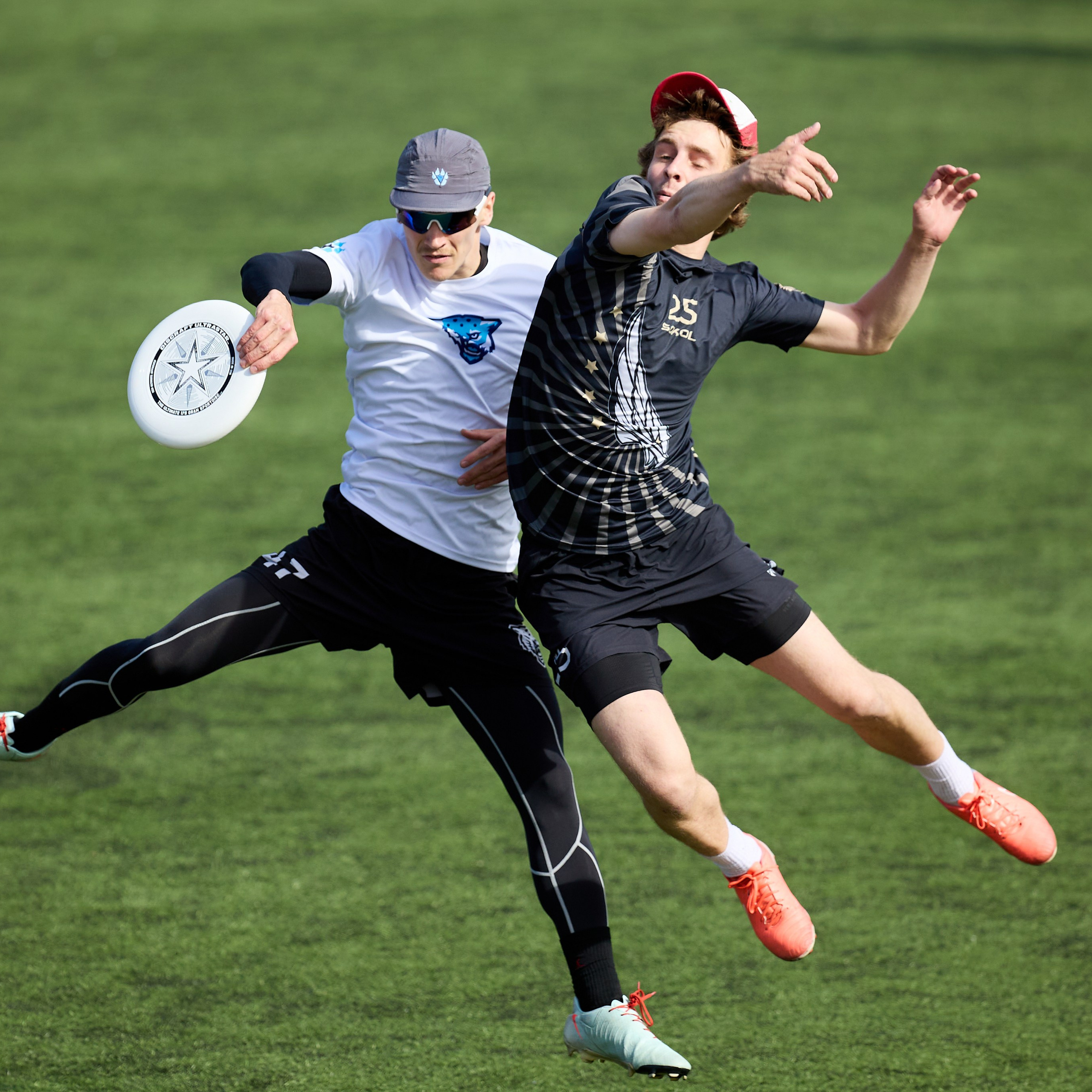 Турнир Springle Pro по&nbsp;алтимат фрисби