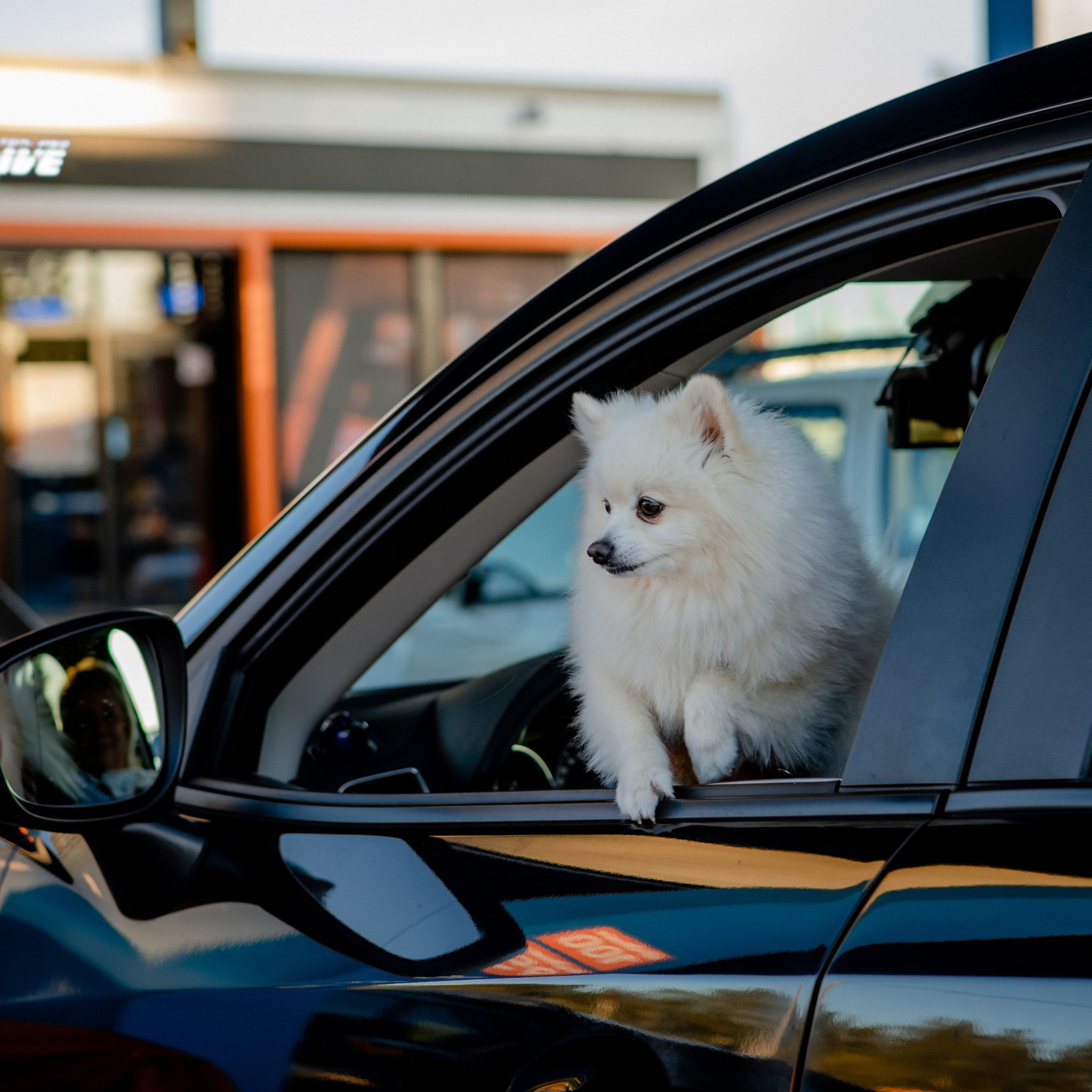 Рекламная съемка для сети АЗС, фотограф Ксения Сытина