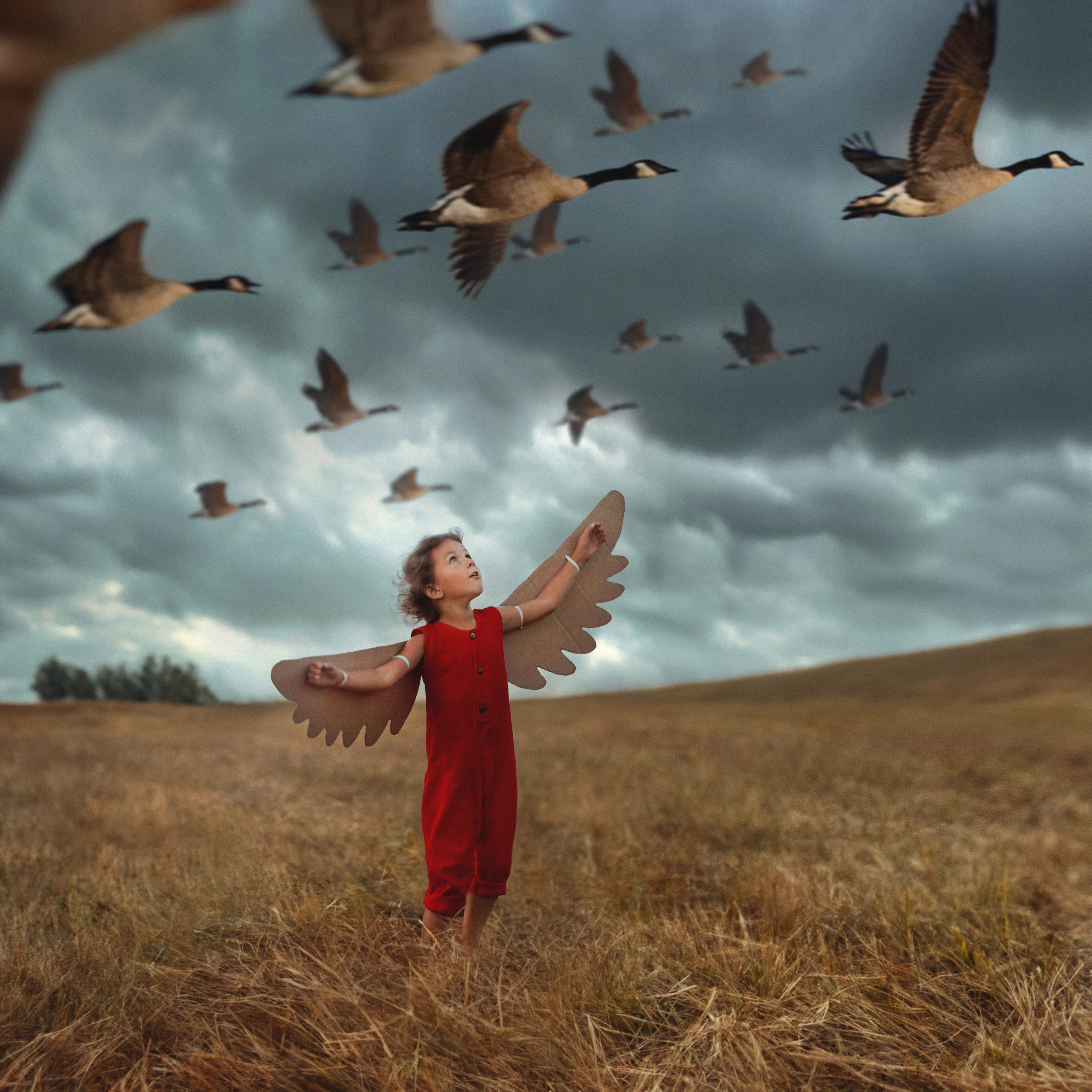 Портфолио. Фотохудожник Анна Гис