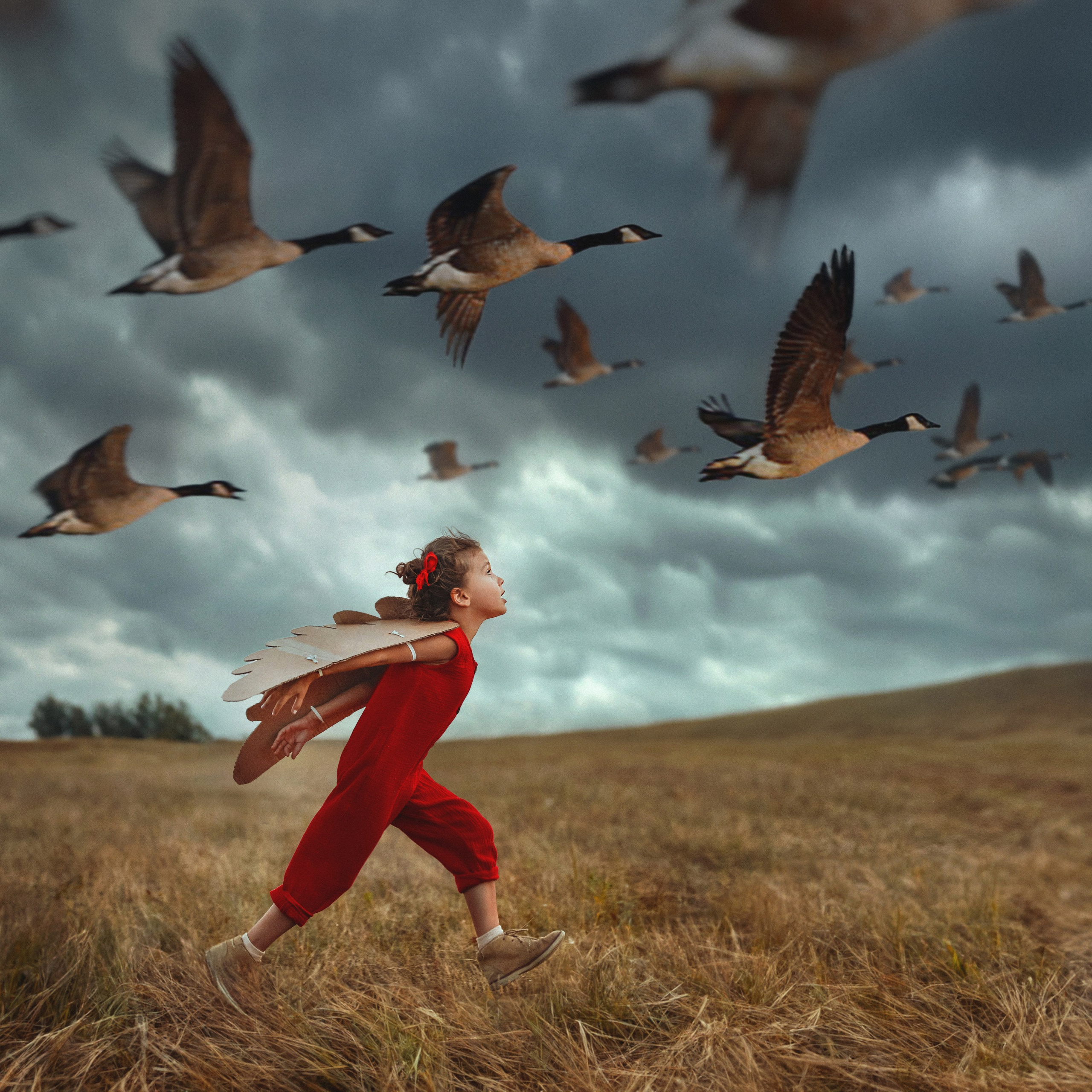 Портфолио. Фотохудожник Анна Гис