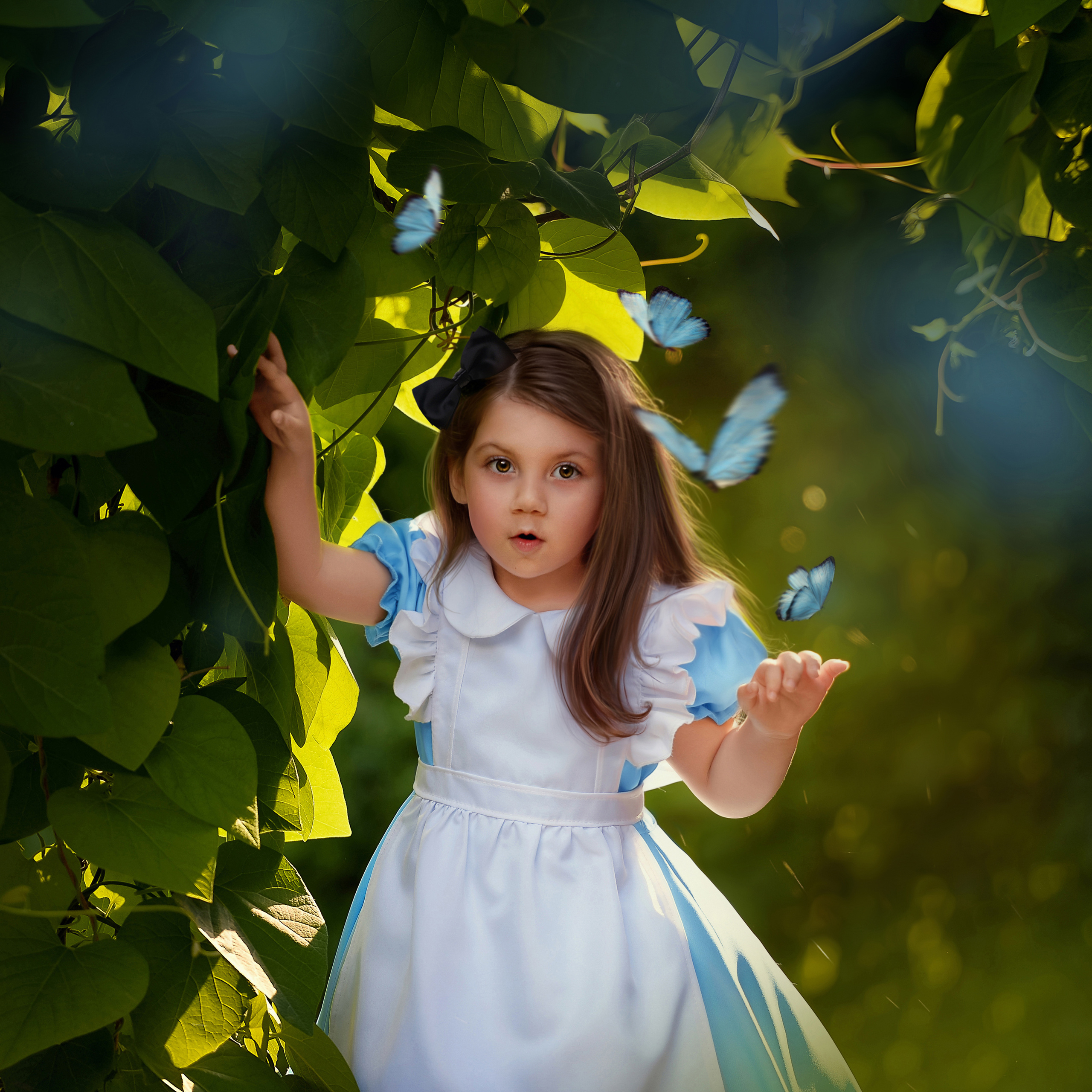 Портфолио. Фотохудожник Анна Гис