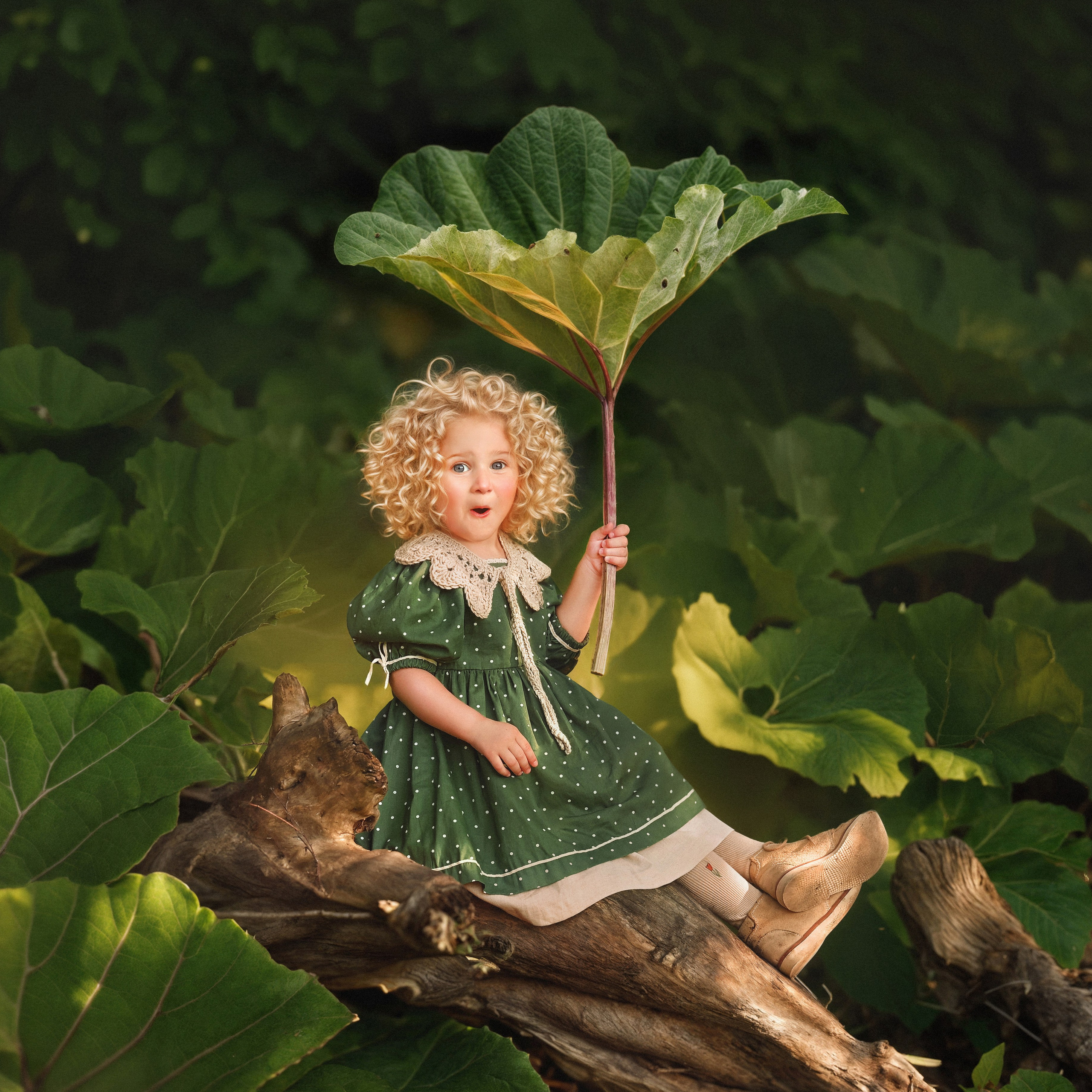 Портфолио. Фотохудожник Анна Гис