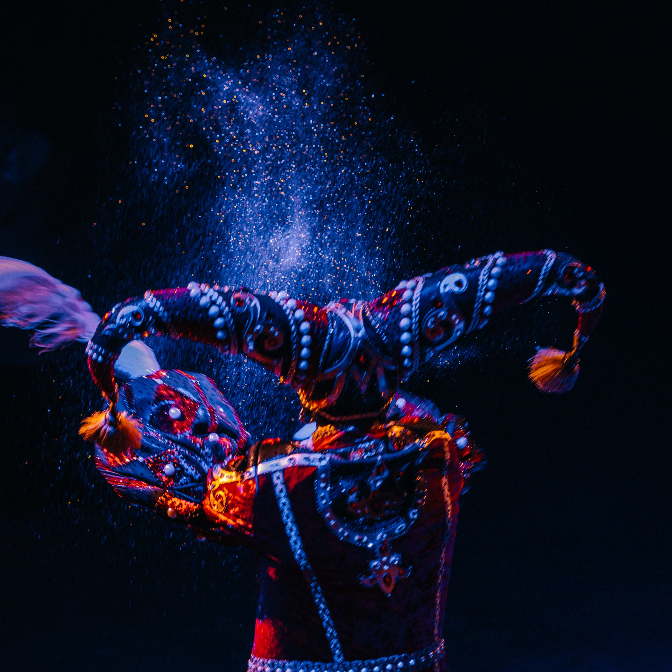 Королевский Цирк Гии Эрадзе