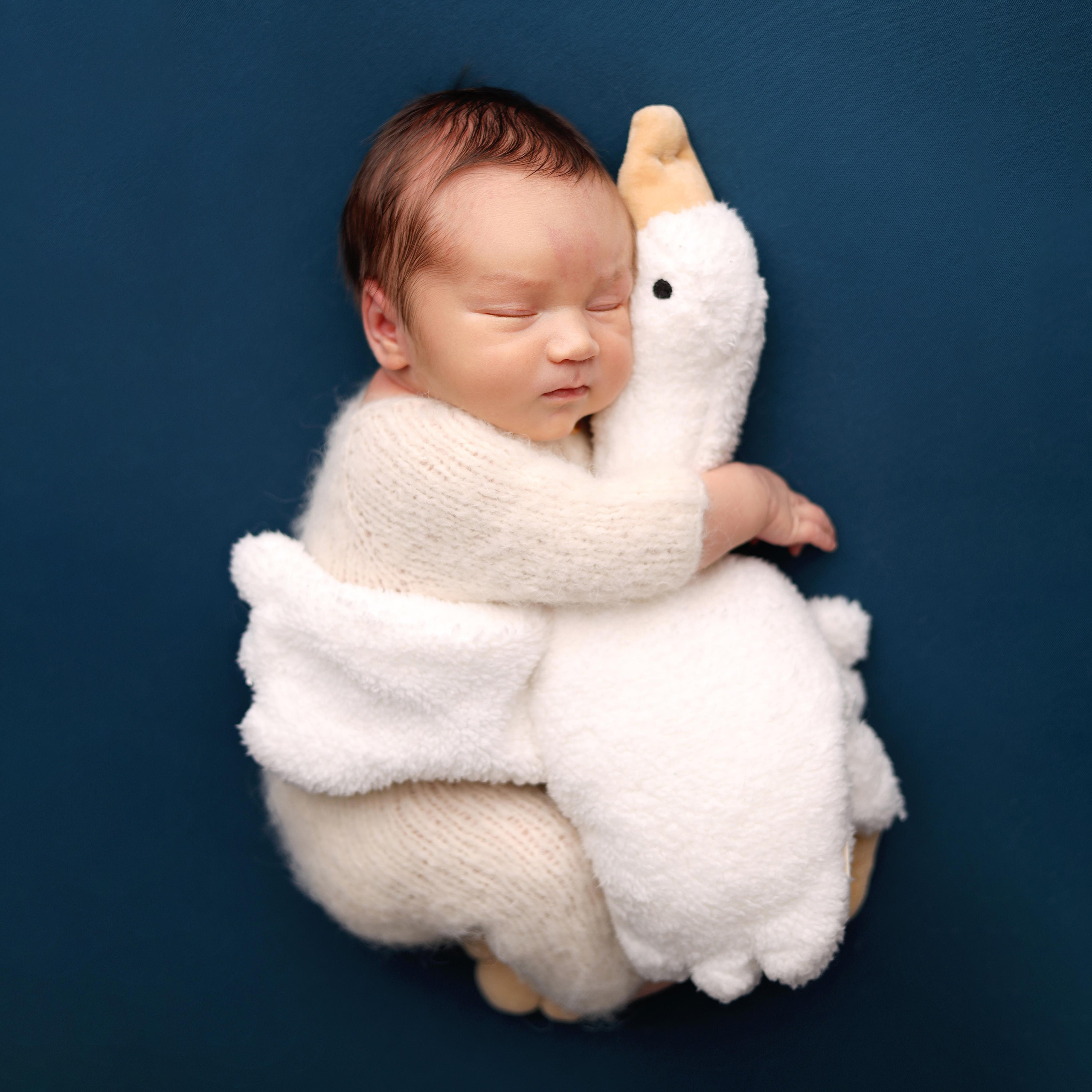 Ньюборн съемка Филиппа, максимальный пакет