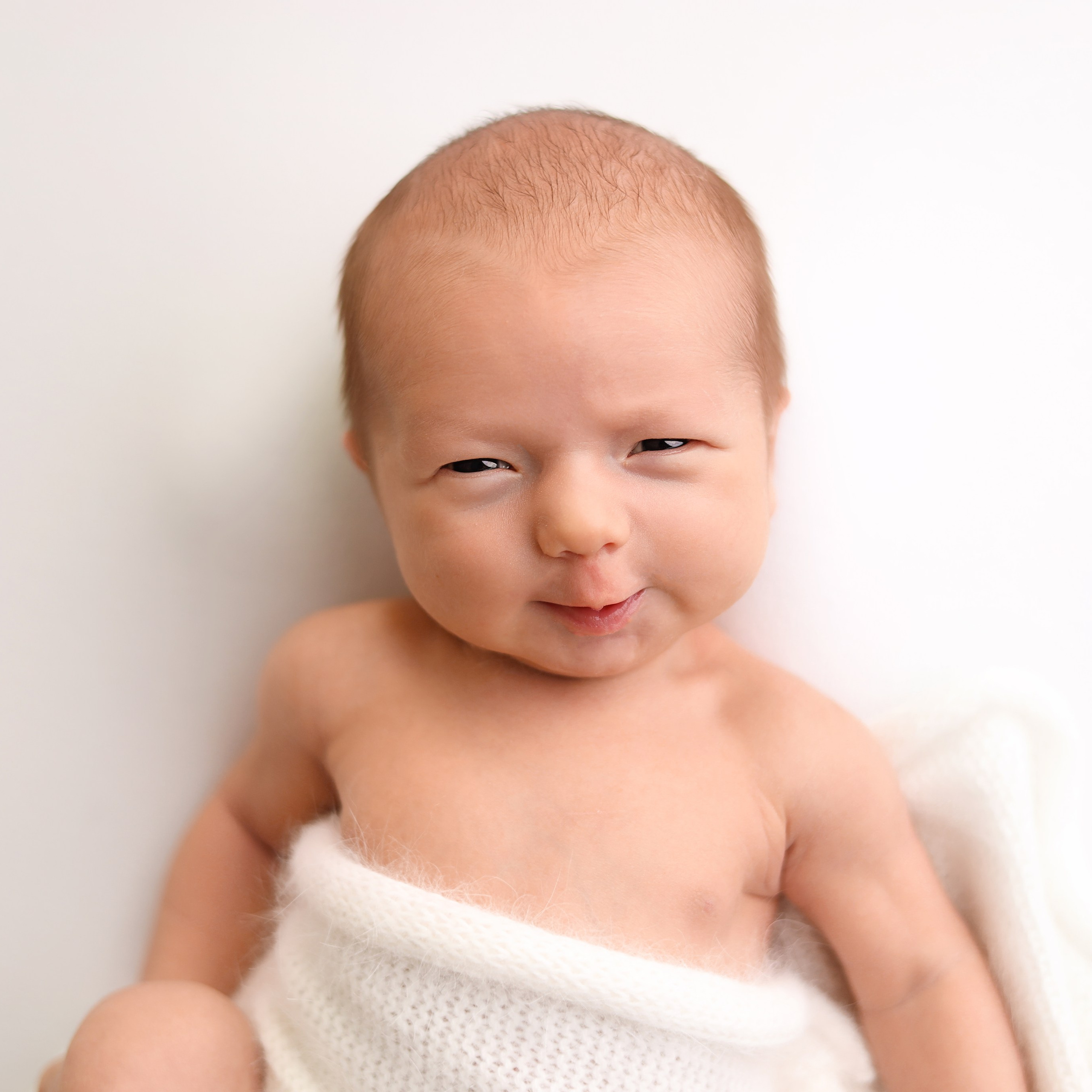 Адам, творческий пакет