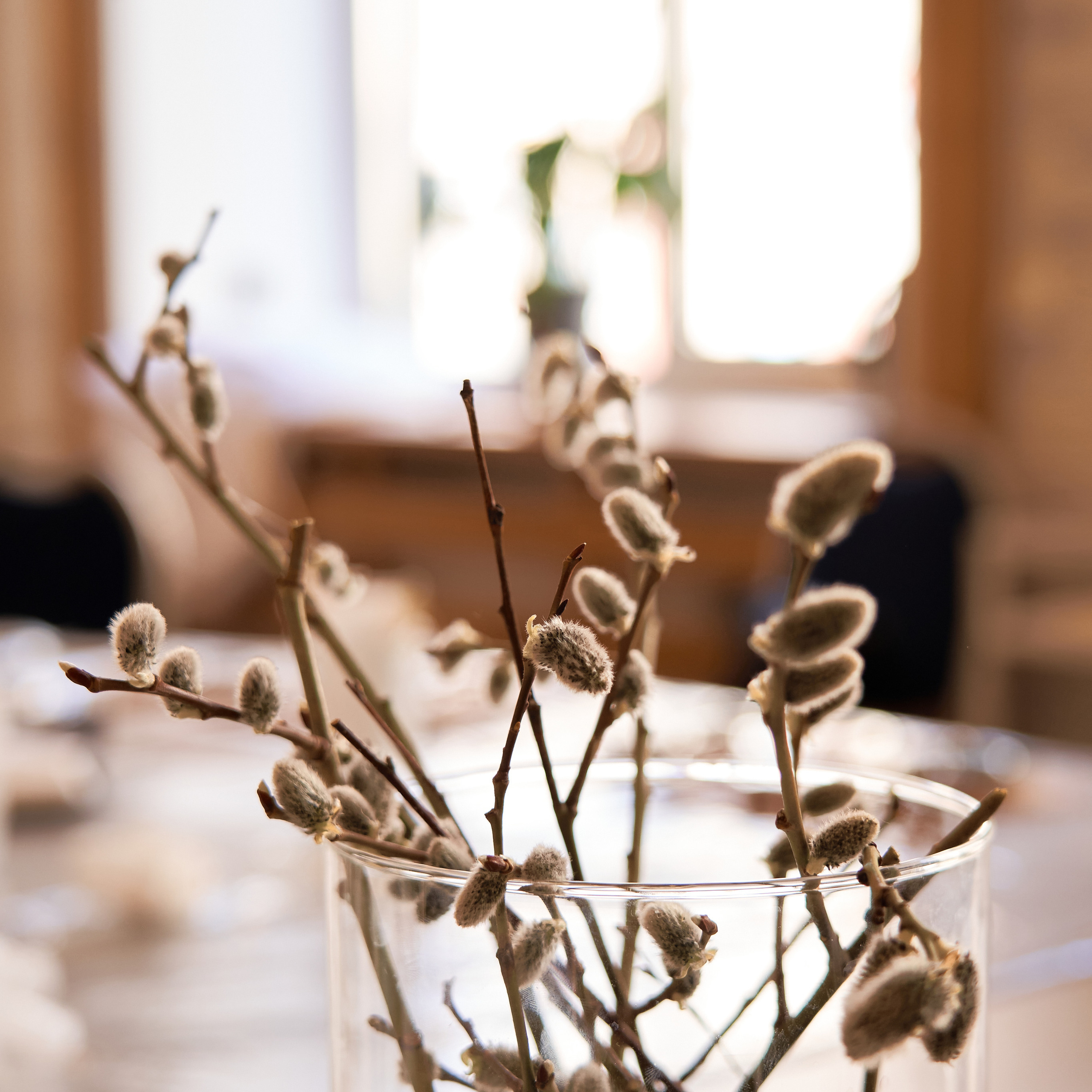 Отзывы. Фотограф контента и детский в Санкт-Петербурге Ирина Вержбицкая м