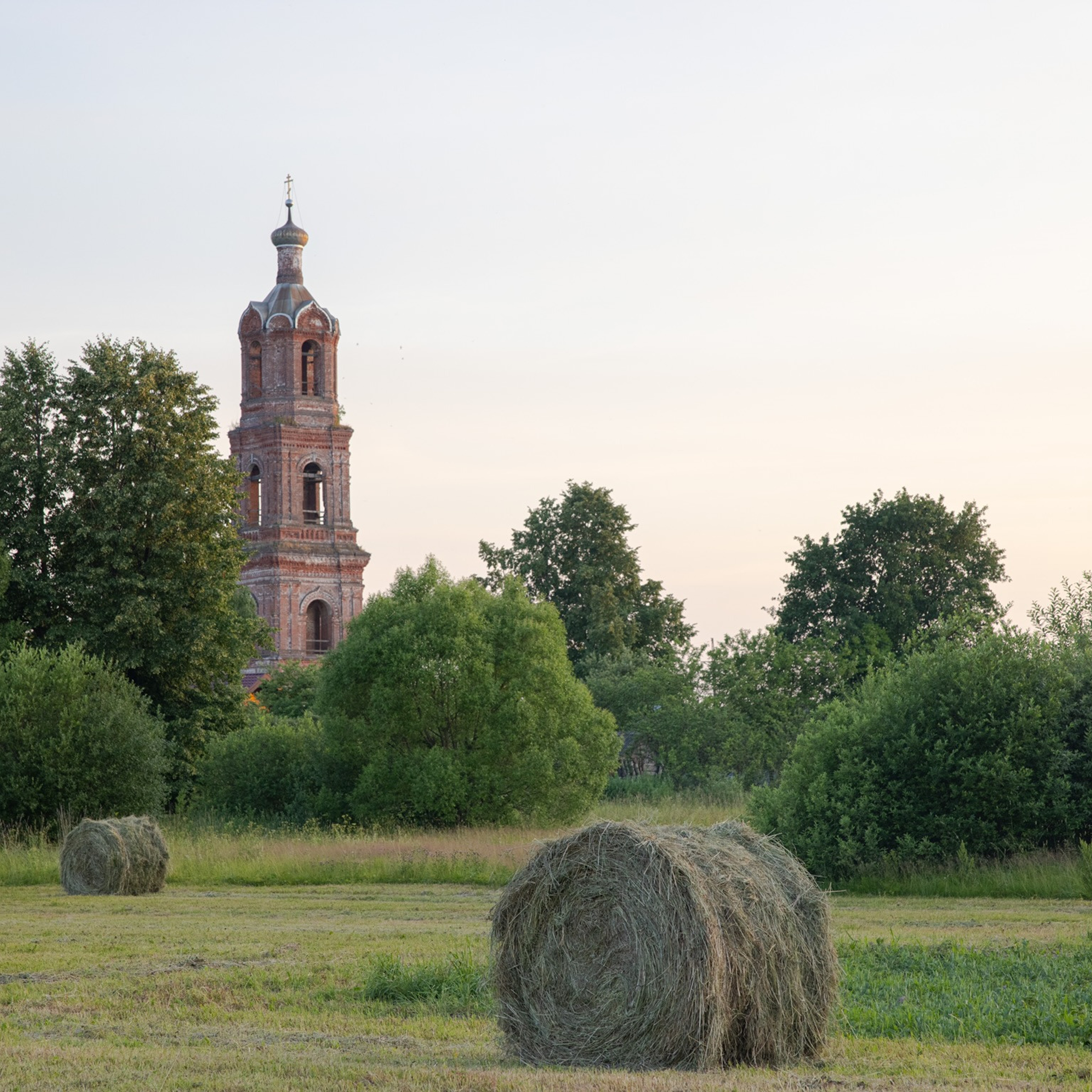 Леса и поля
