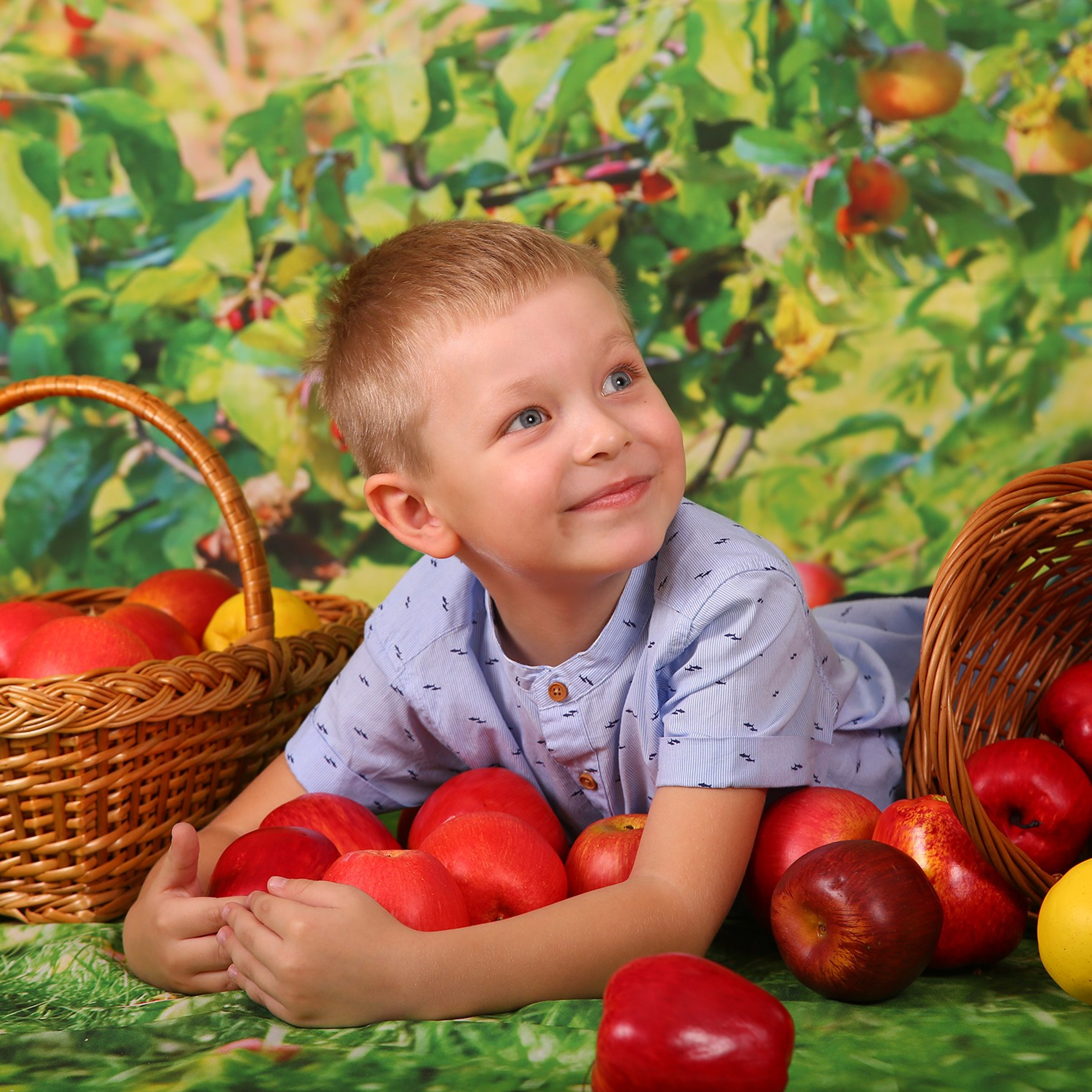 Яблоневый сад