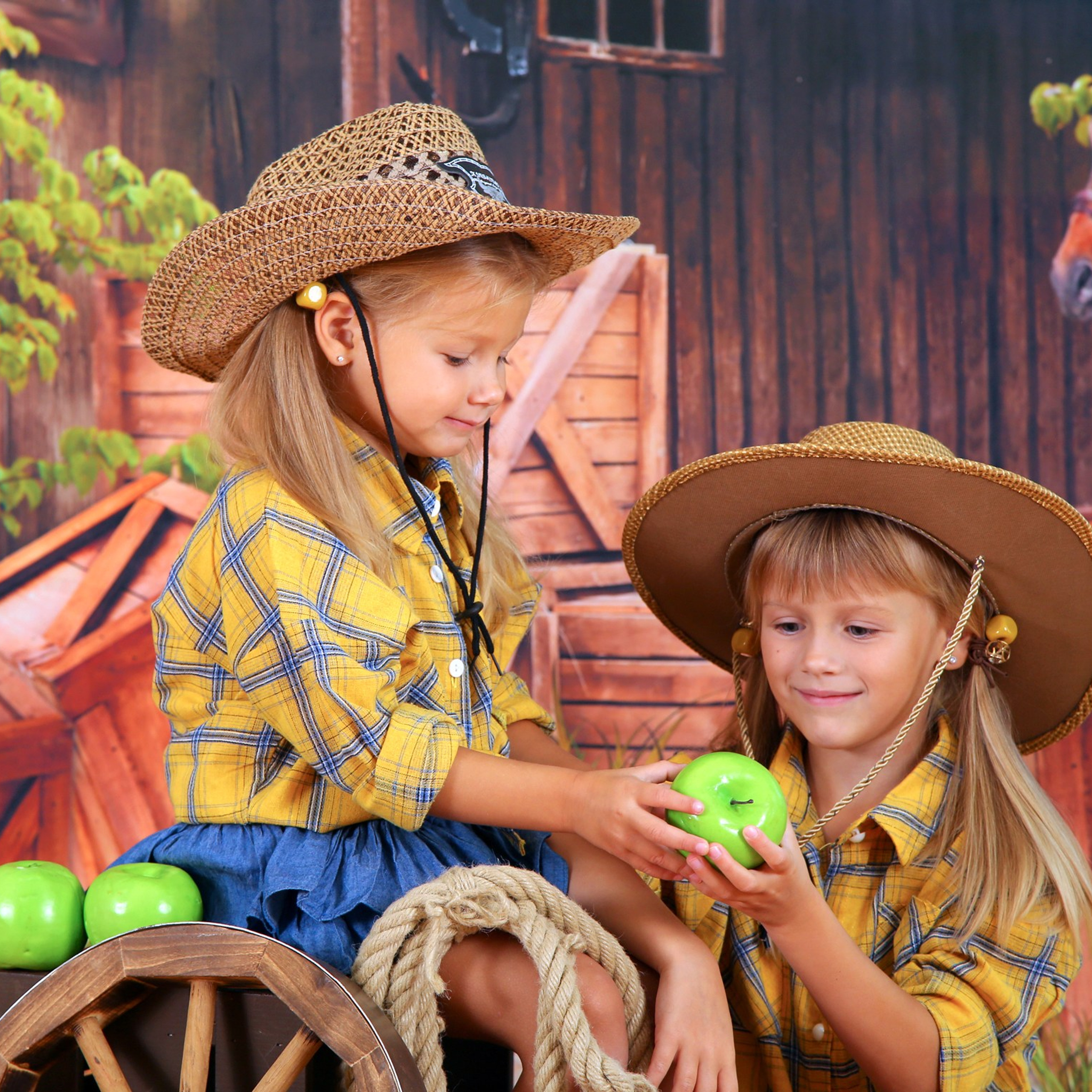 Веселое ранчо