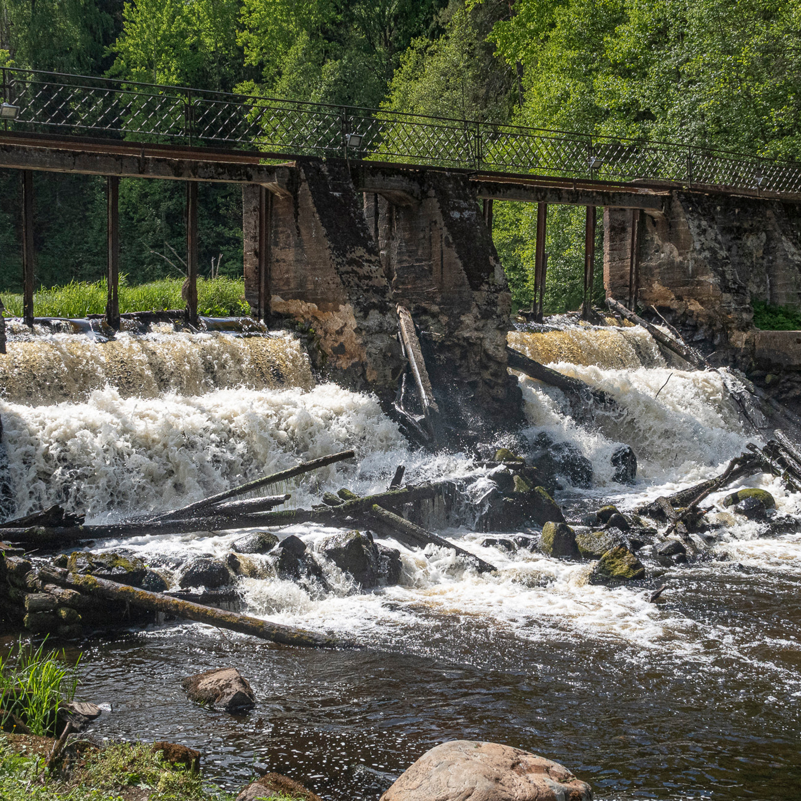 Отзывы. Фото из походов и путешествий клуба скандинавской ходьбы Пойдем Ходить