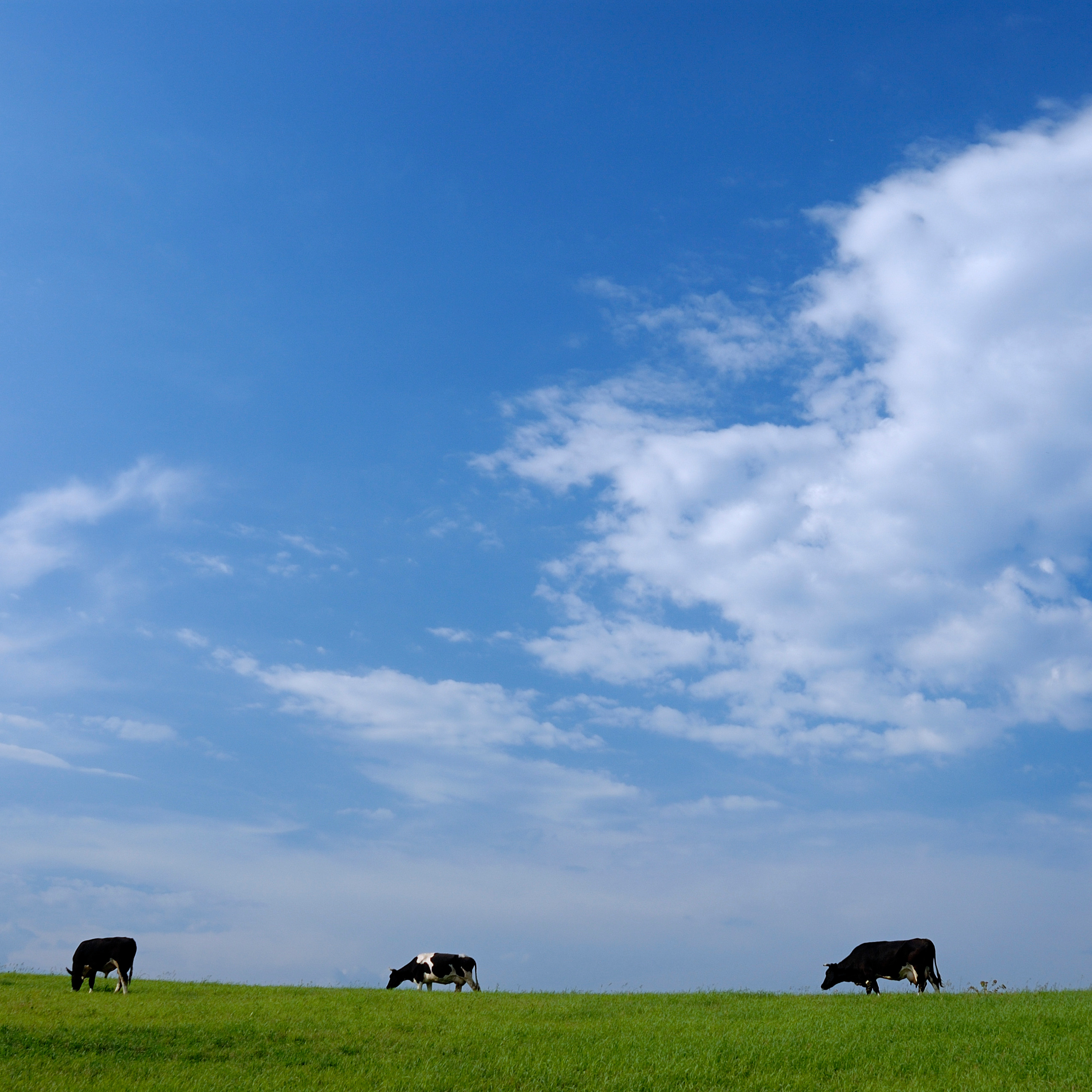 Природа. Авторские фотографии Романа Бубнова