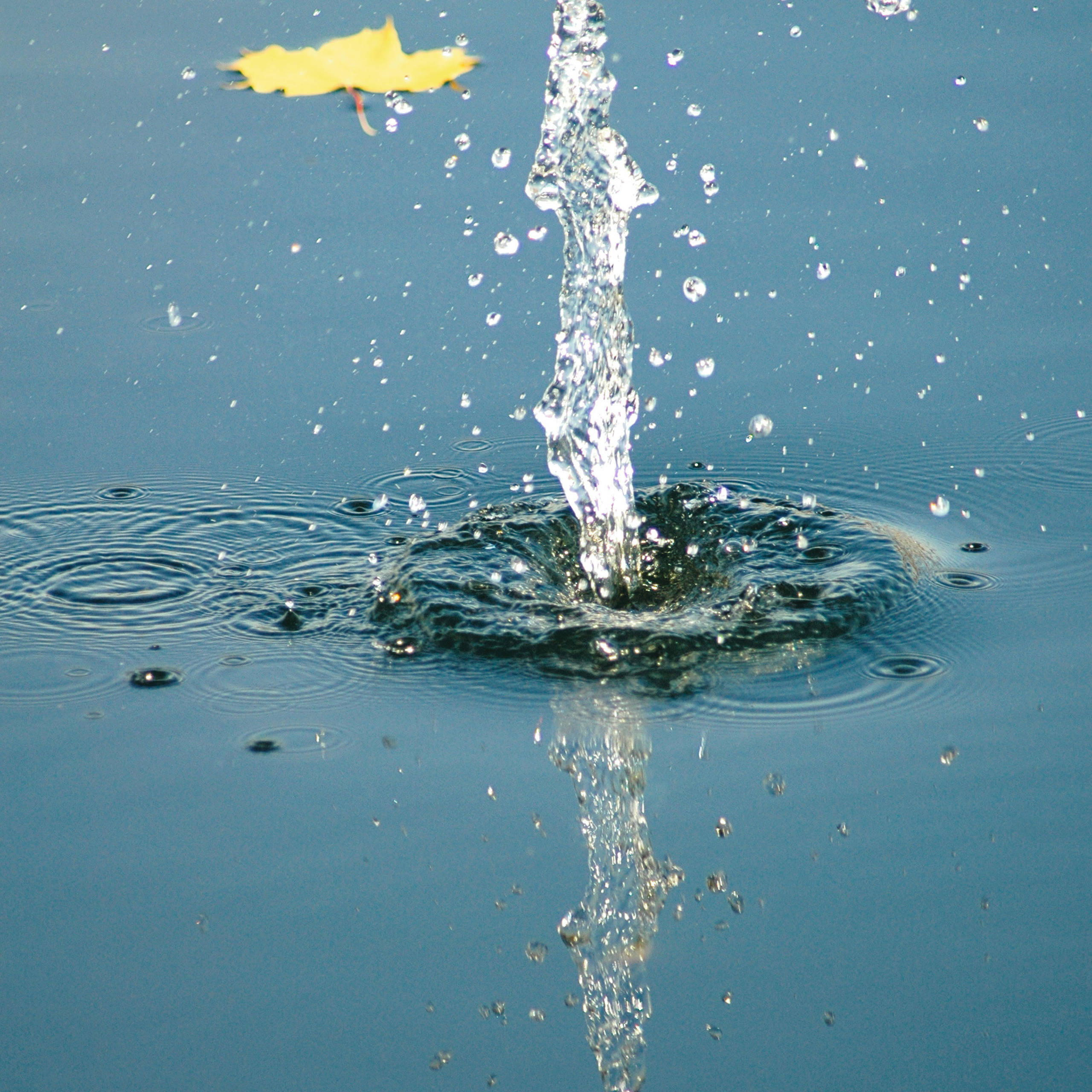 Природа. Авторские фотографии Романа Бубнова