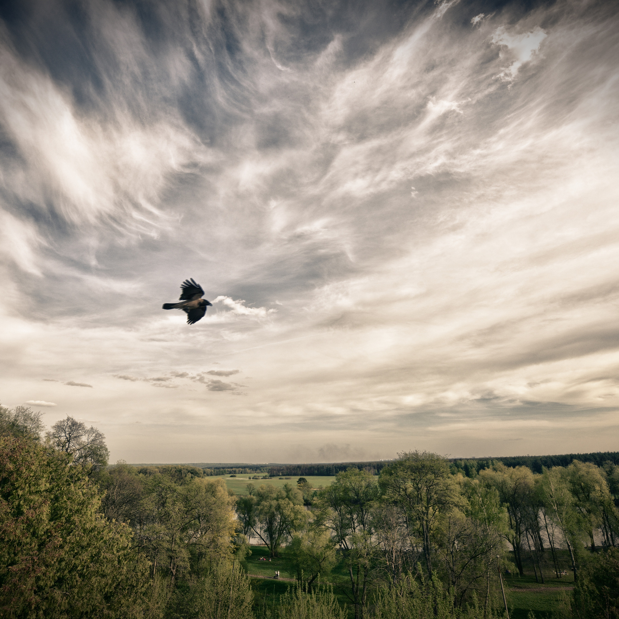 Жанр. Авторские фотографии Романа Бубнова